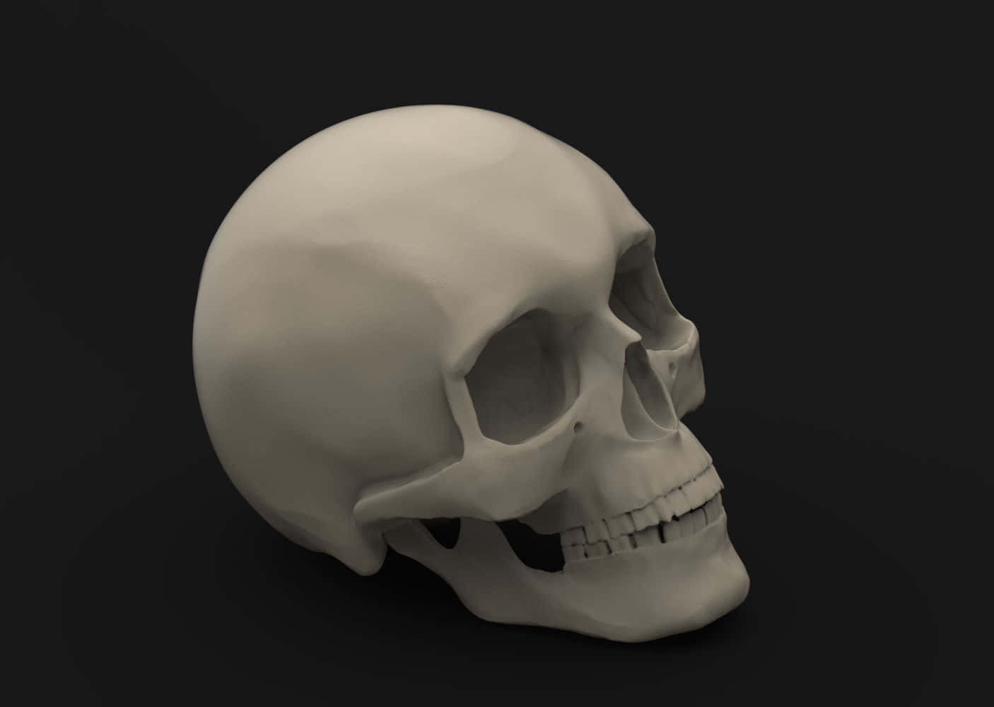 3d skull, neutral gray tones, stark black background, HD Desktop Wallpaper