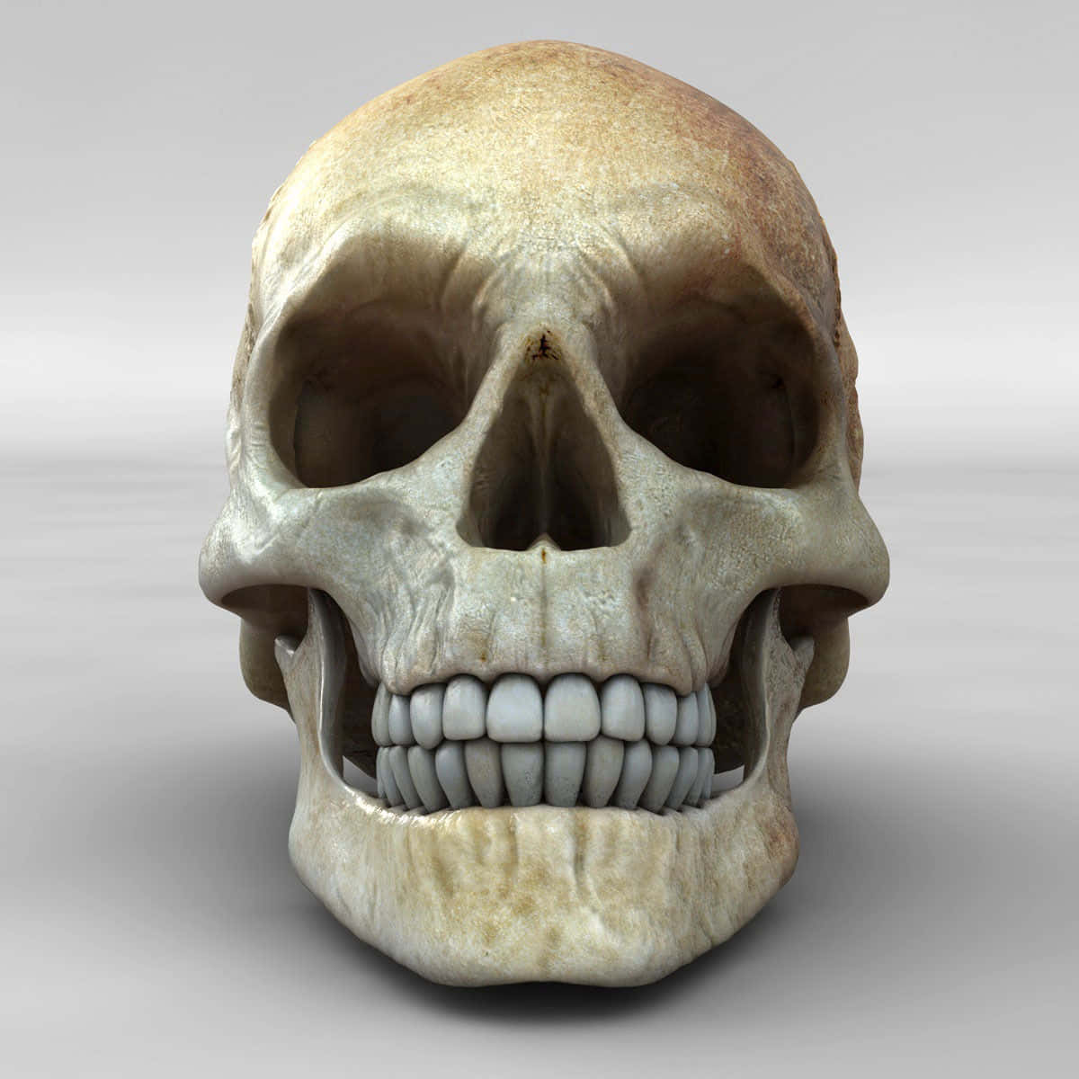 3d skull, black background, neutral gray background, SD Desktop Wallpaper