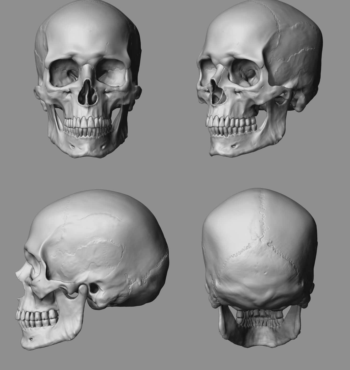 3d skull, human skulls, front side, HD Phone Wallpaper