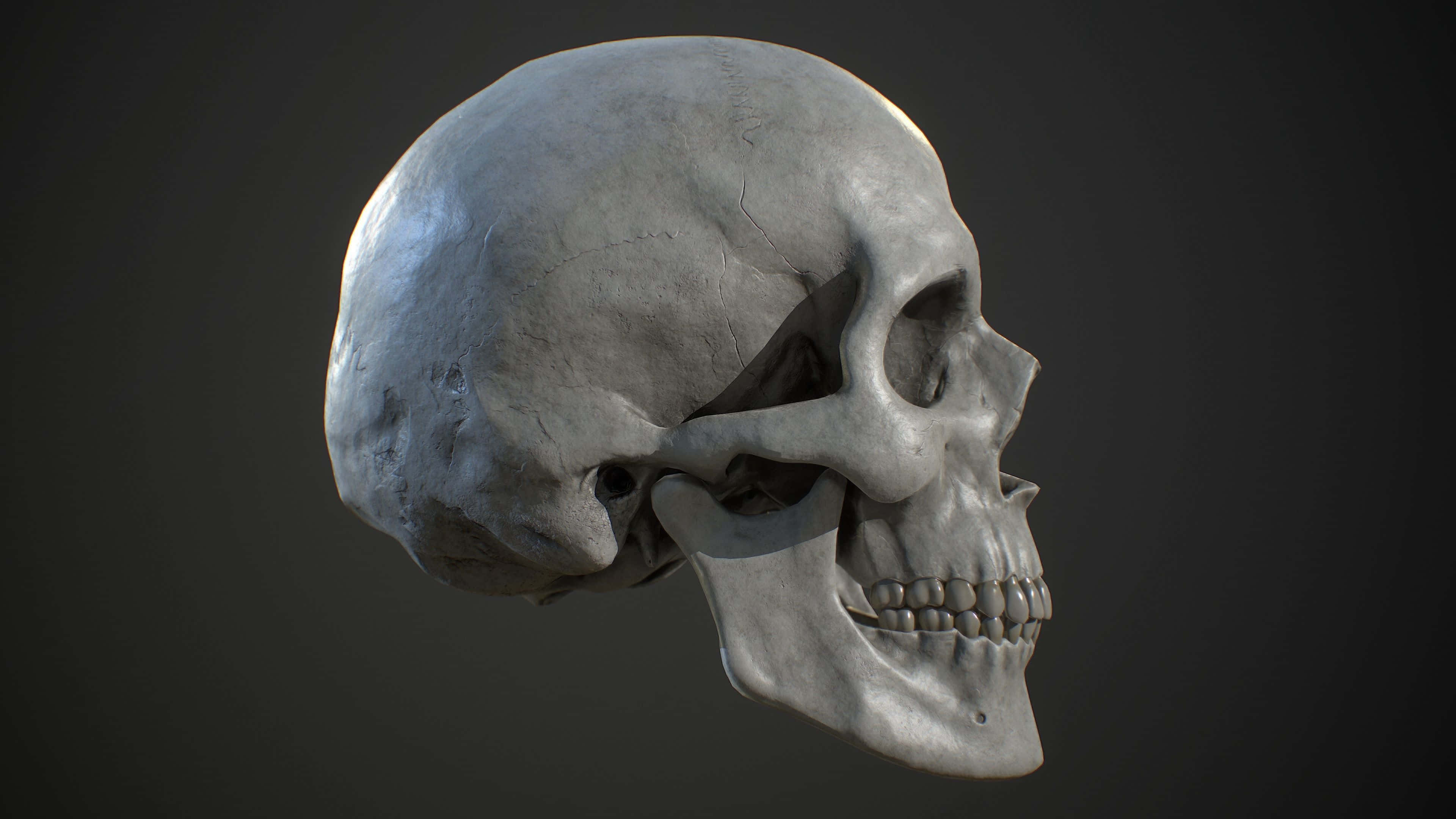3d skull, glowing eyes, dark gray background, 4K Desktop Wallpaper