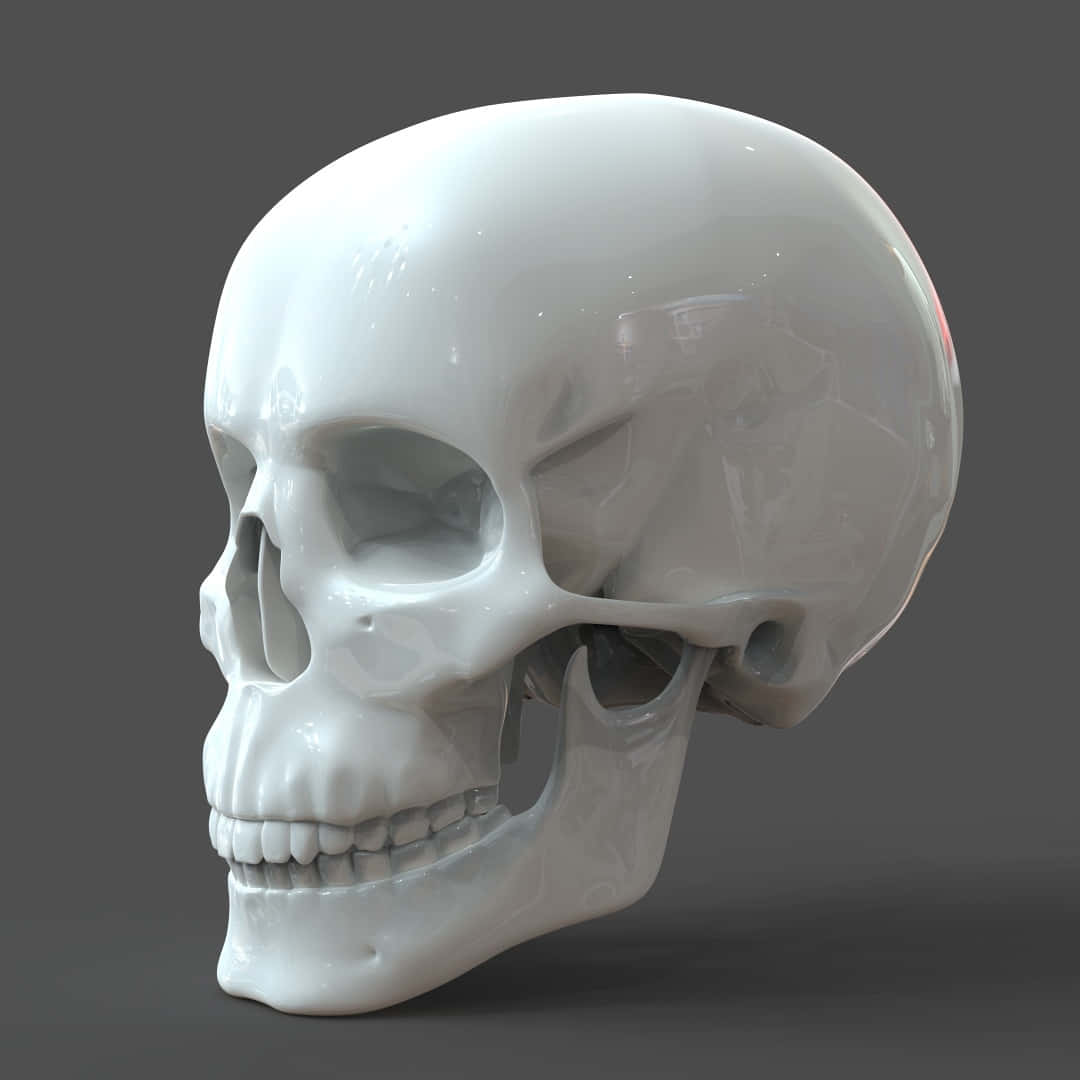 3d skull, glossy white, soft lighting, SD Desktop Wallpaper
