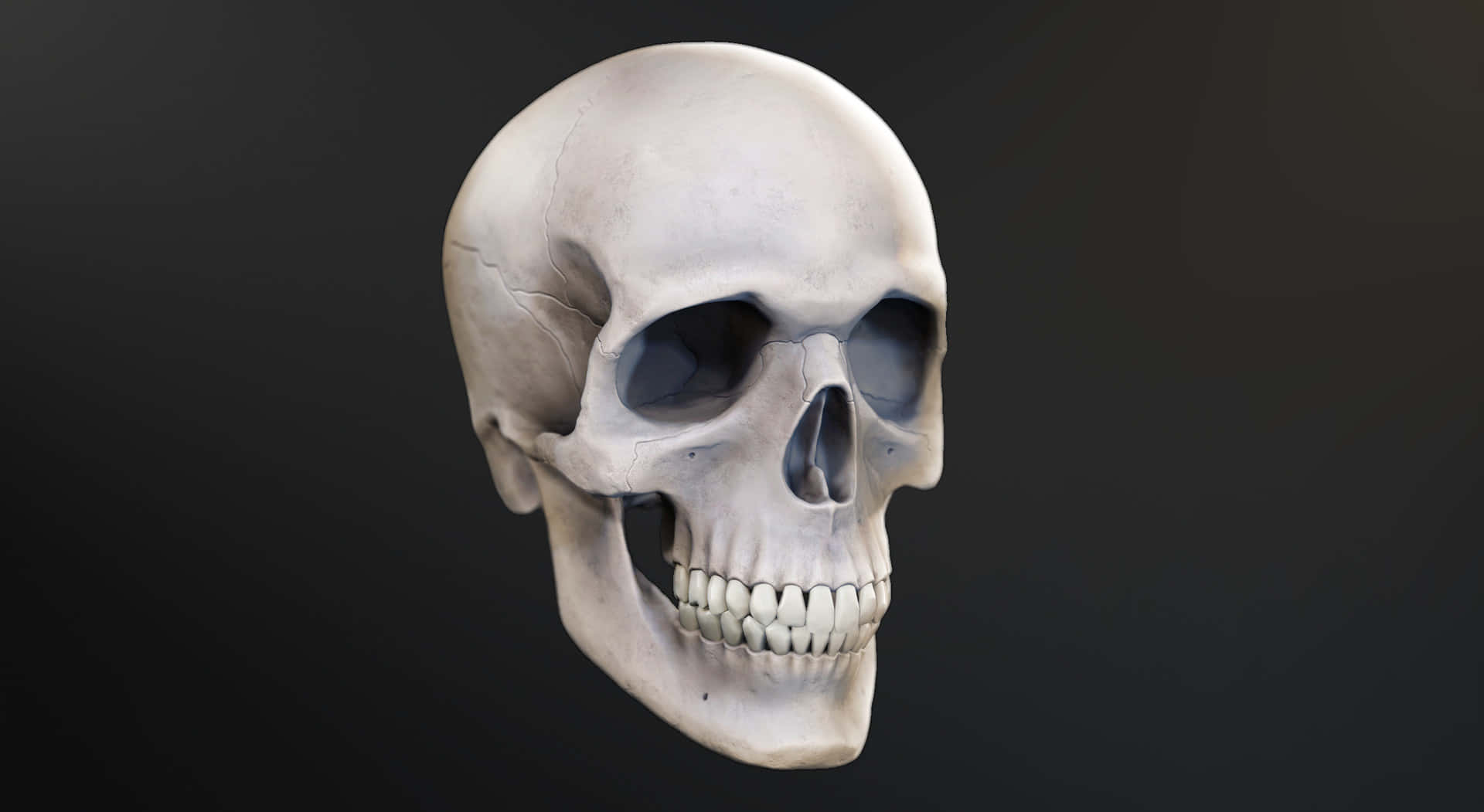 3d skull, photorealistic 3d, subtle cracks, Full HD Desktop Wallpaper