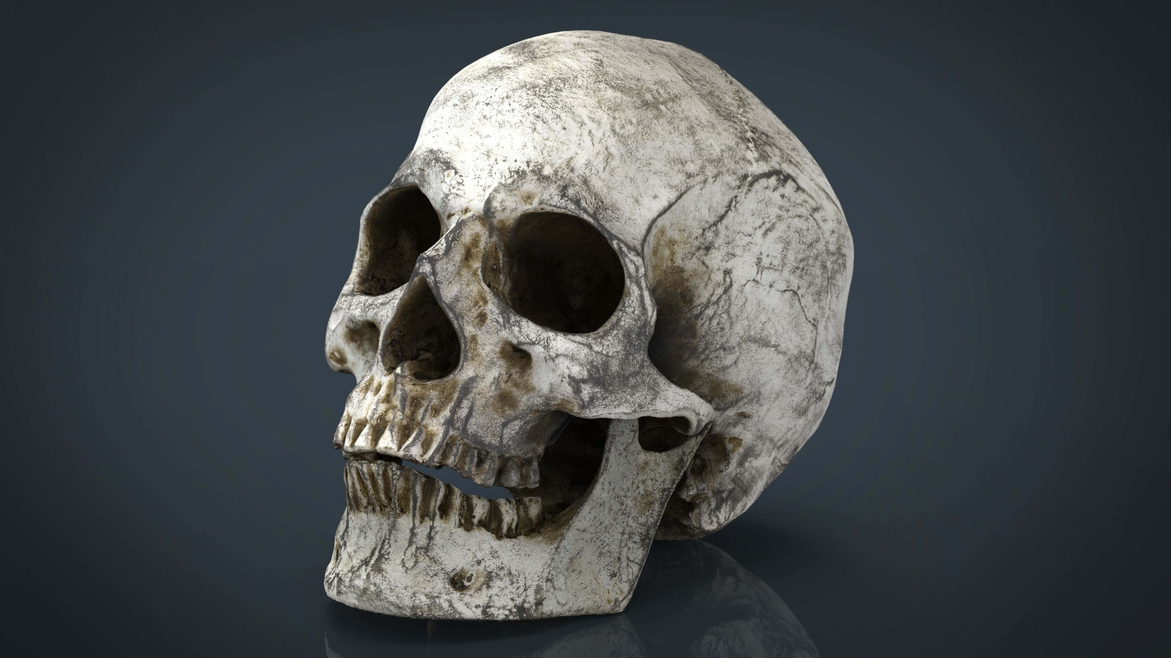 3d skull, cracked bone, stained teeth, 4K Desktop Wallpaper