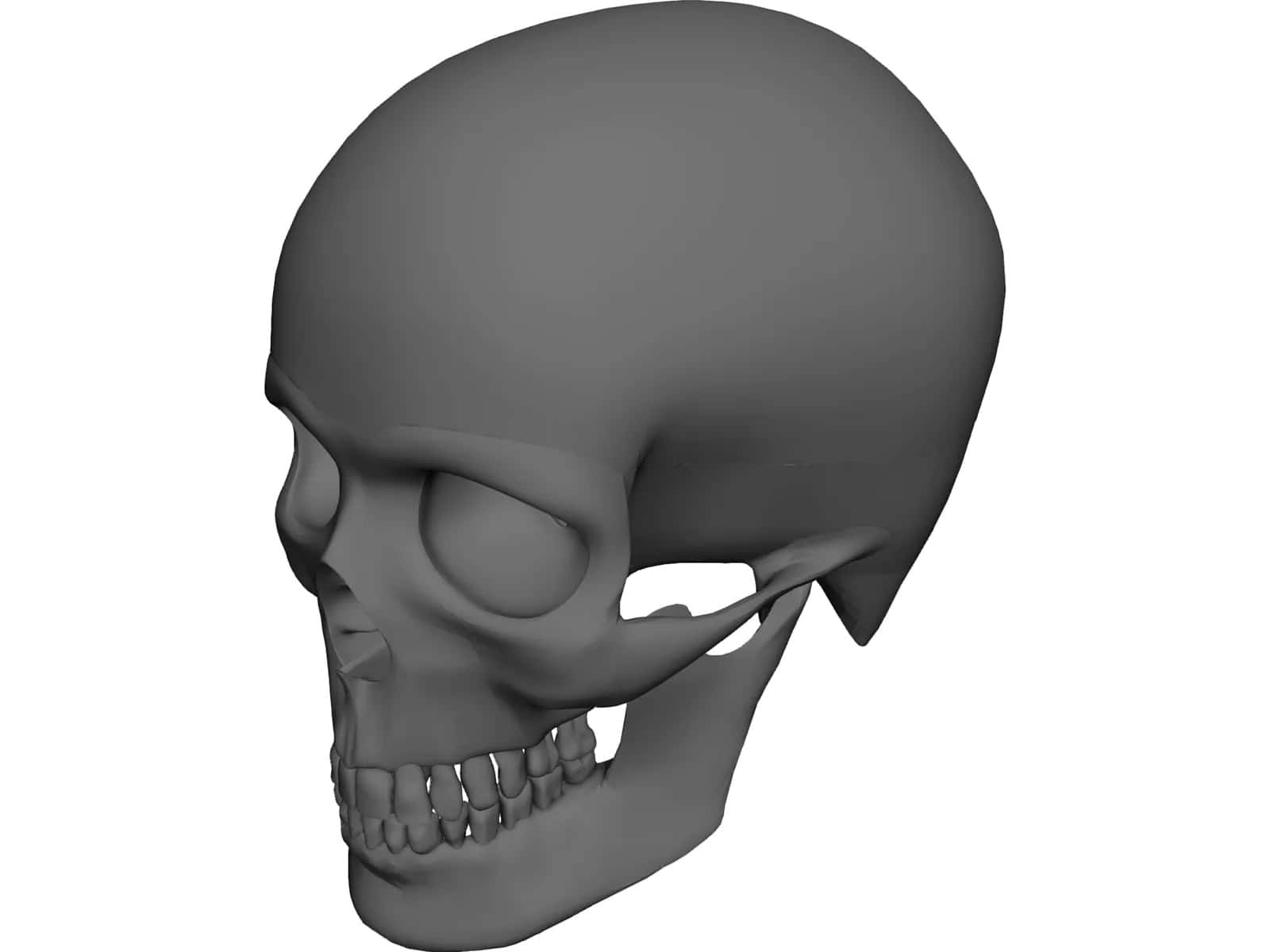 3d skull, grayscale, 3d-render, HD Desktop Wallpaper