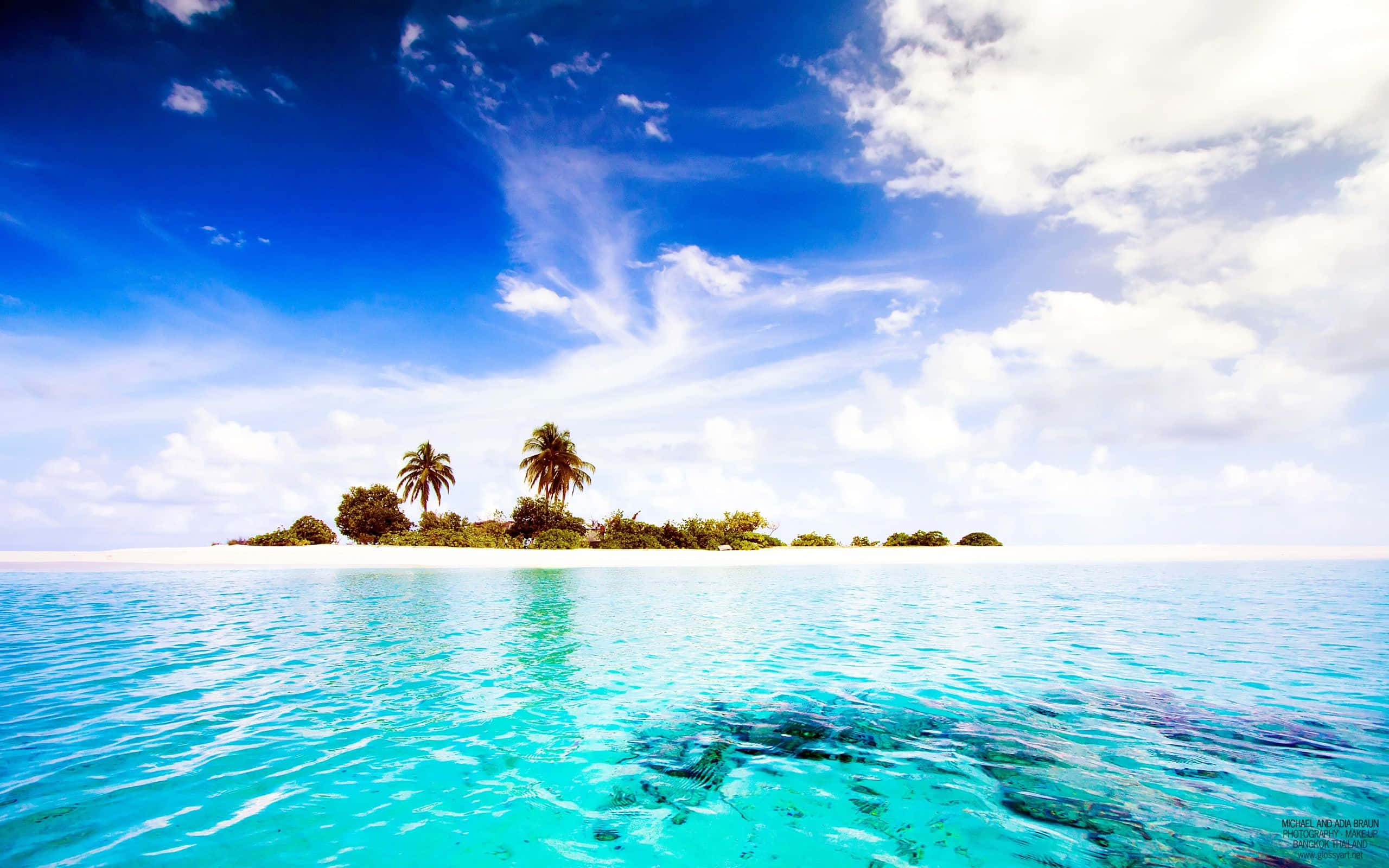 tropical island, palm trees, white sand, 2K Desktop Wallpaper