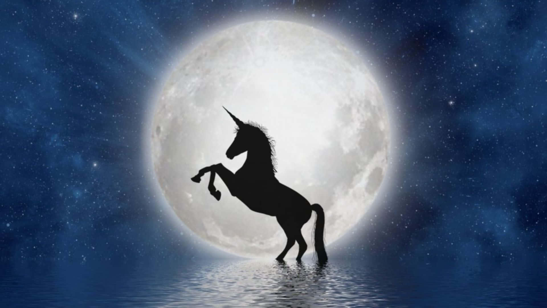 unicorn, moonlit water surface, starry night sky, Full HD Desktop Wallpaper