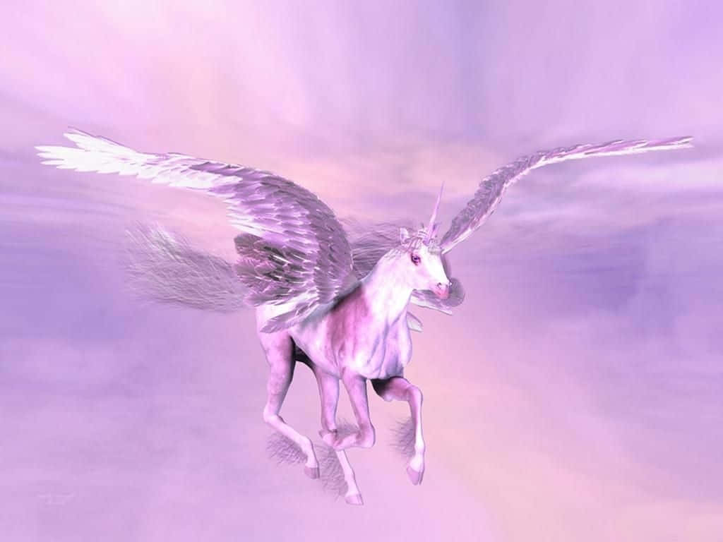 real unicorn, white winged unicorn, glowing horn, SD Desktop Wallpaper