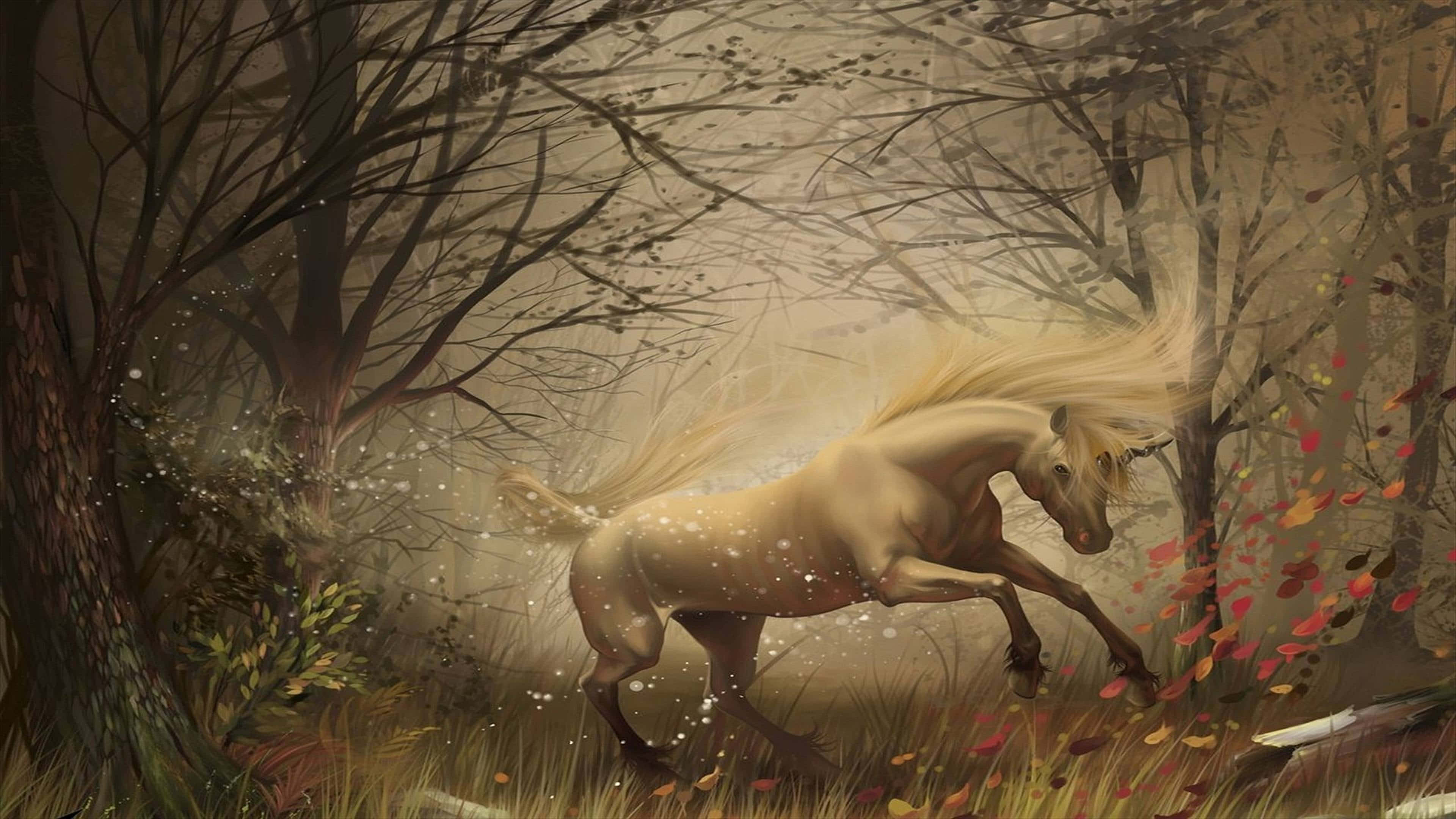 real unicorn, magical real unicorn, white unicorn, 4K Desktop Wallpaper