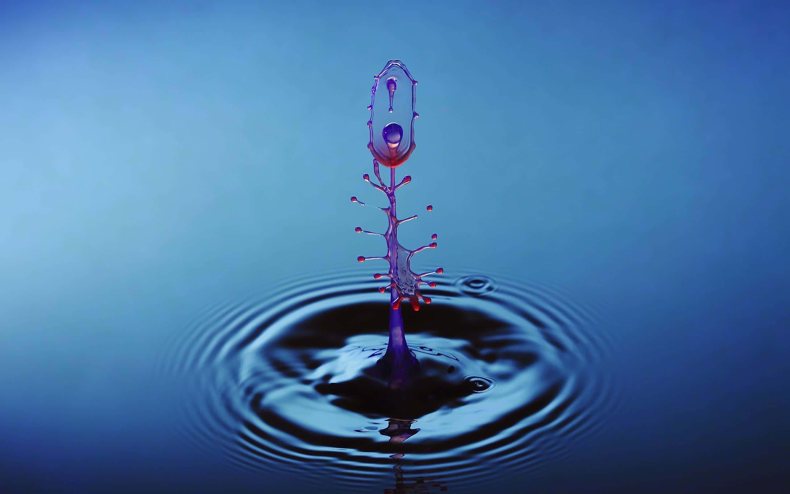 3d water, water droplet, slow motion, 2K Desktop Wallpaper