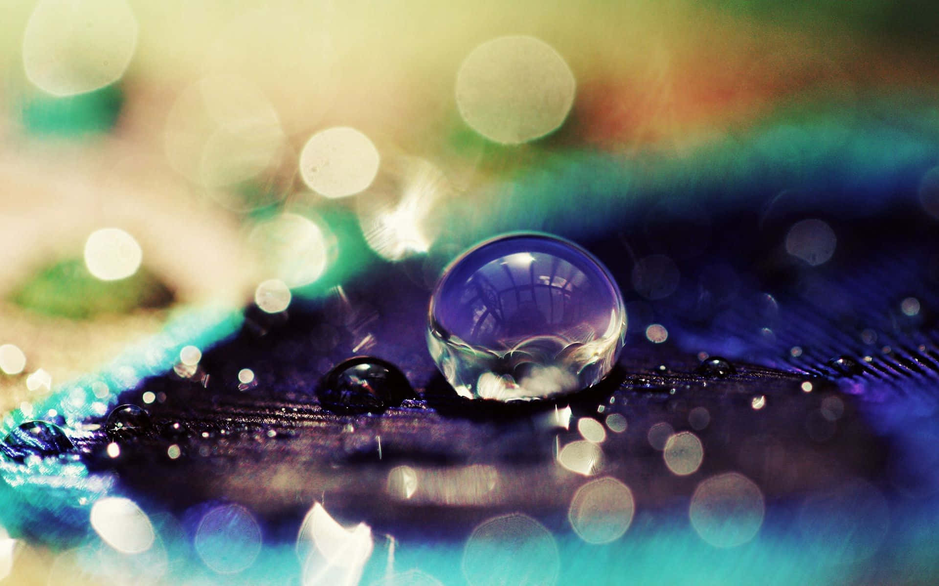 3d water, glistening water droplet, vibrant blue feather, Full HD Desktop Wallpaper
