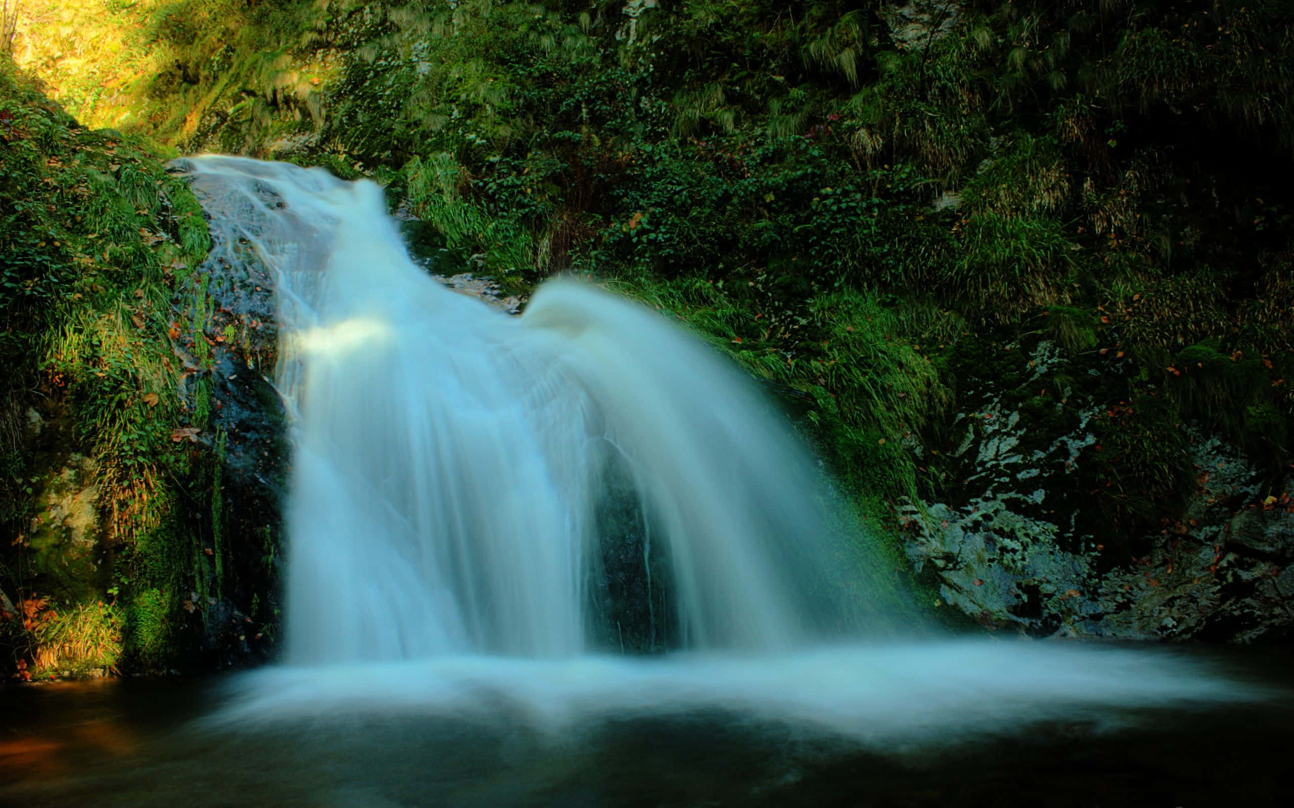 3d Waterfall, lush green forest, golden sunlight, 2K Desktop Wallpaper