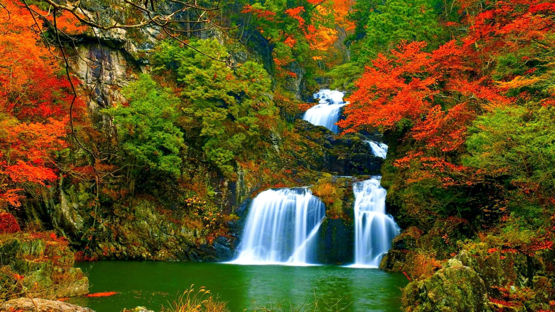 3d waterfall, autumn reds, emerald pool, Full HD Desktop Wallpaper