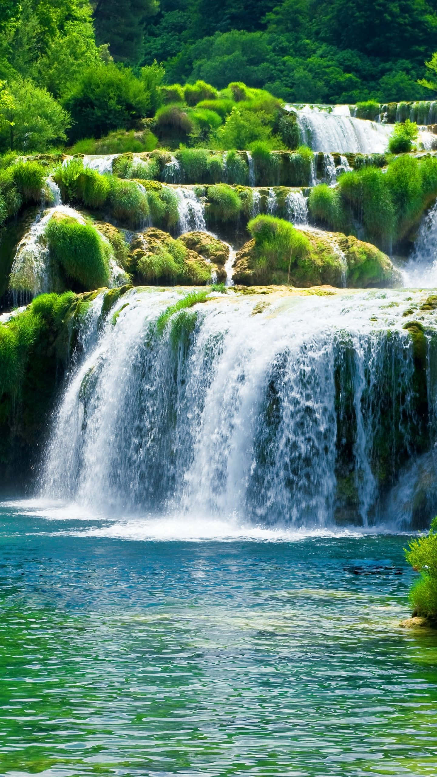 3d waterfall, mossy green terraces, crystal clear turquoise pool, 2K Phone Wallpaper
