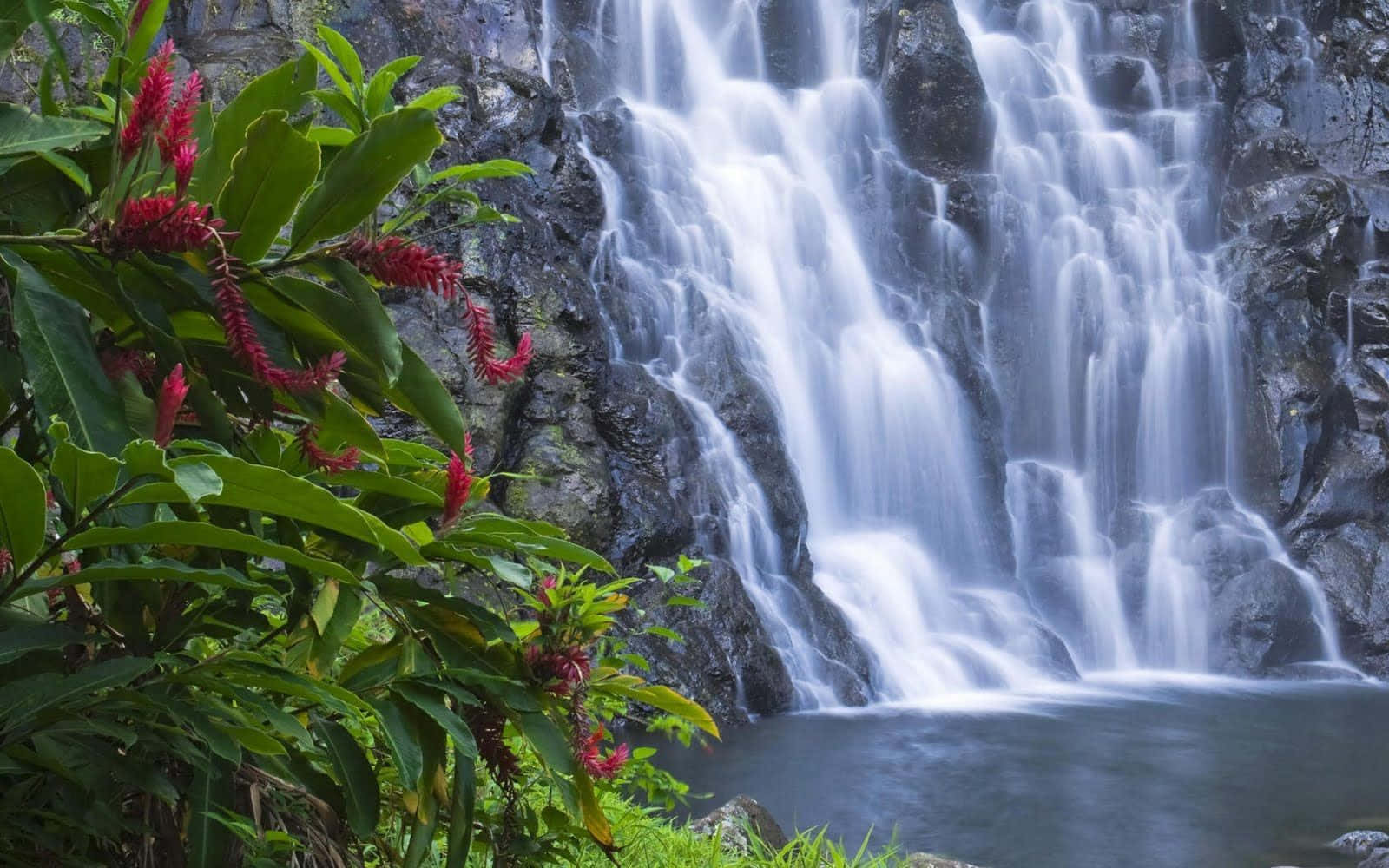 3d waterfall, dark rocks, vibrant red flowers, HD Desktop Wallpaper