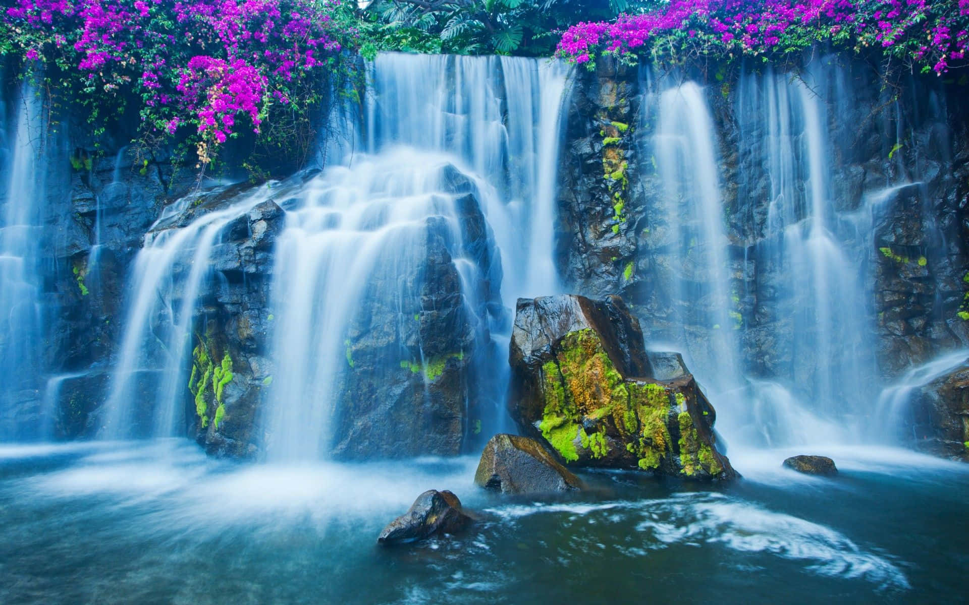 3d waterfall, mossy rocks, vibrant purple flowering vines, Full HD Desktop Wallpaper