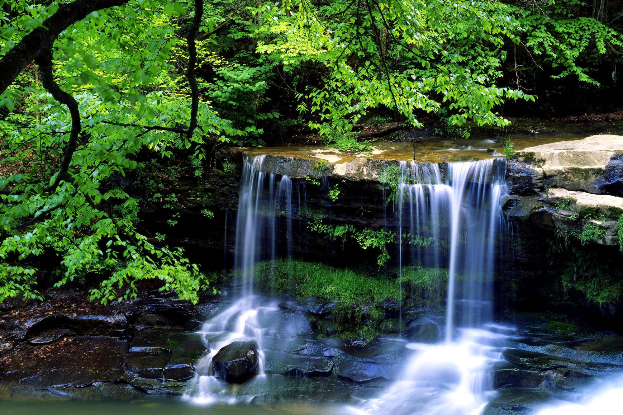 3d Waterfall, mossy rocks, lush green foliage, Full HD Desktop Wallpaper