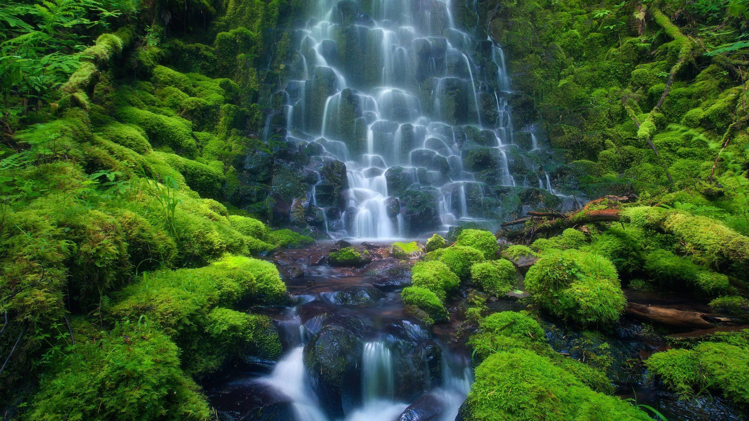 waterfalls cascading, mossy rocks, lush green forest, 2K Desktop Wallpaper