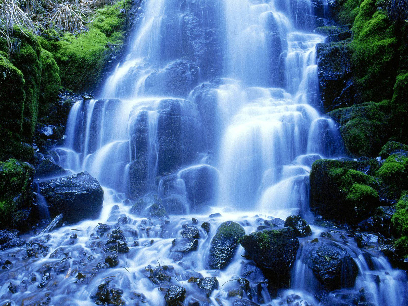 3d Waterfall, mossy waterfall, lush forest, HD Desktop Wallpaper