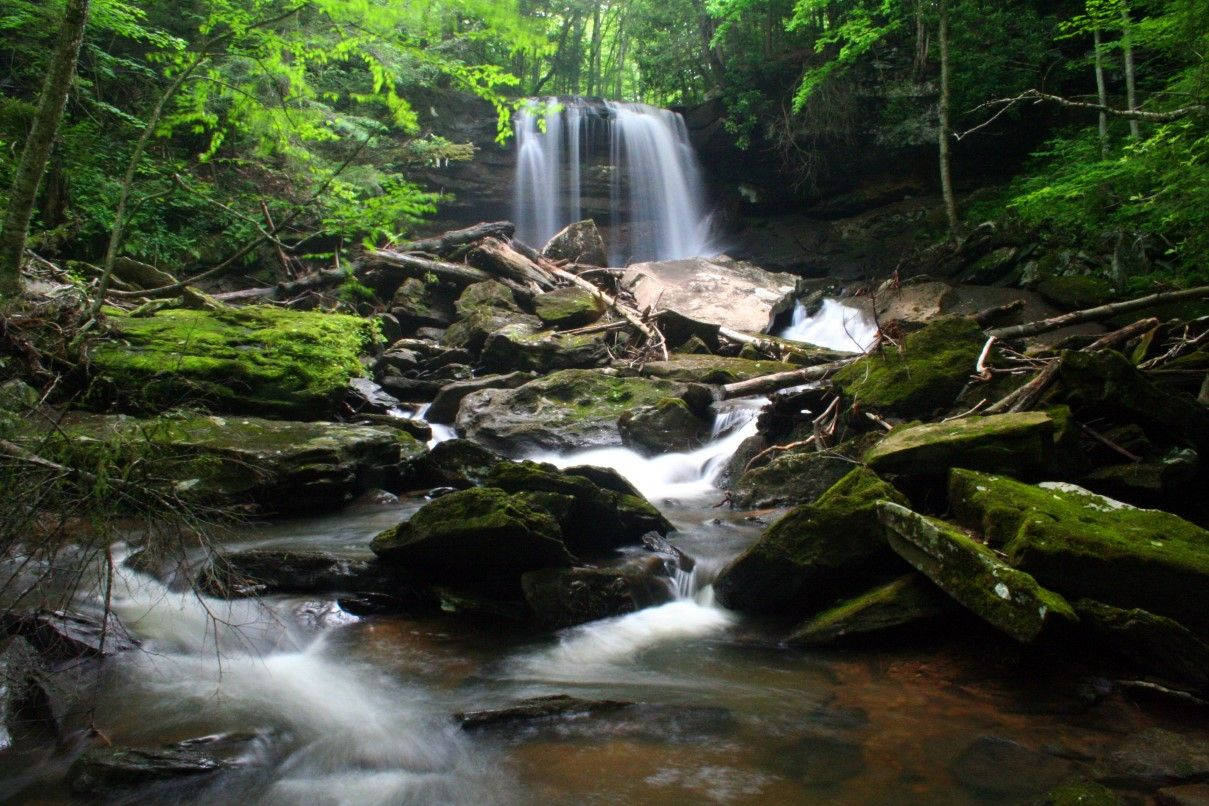 rocky waterfall landscape, mossy rocks, lush green trees, SD Desktop Wallpaper