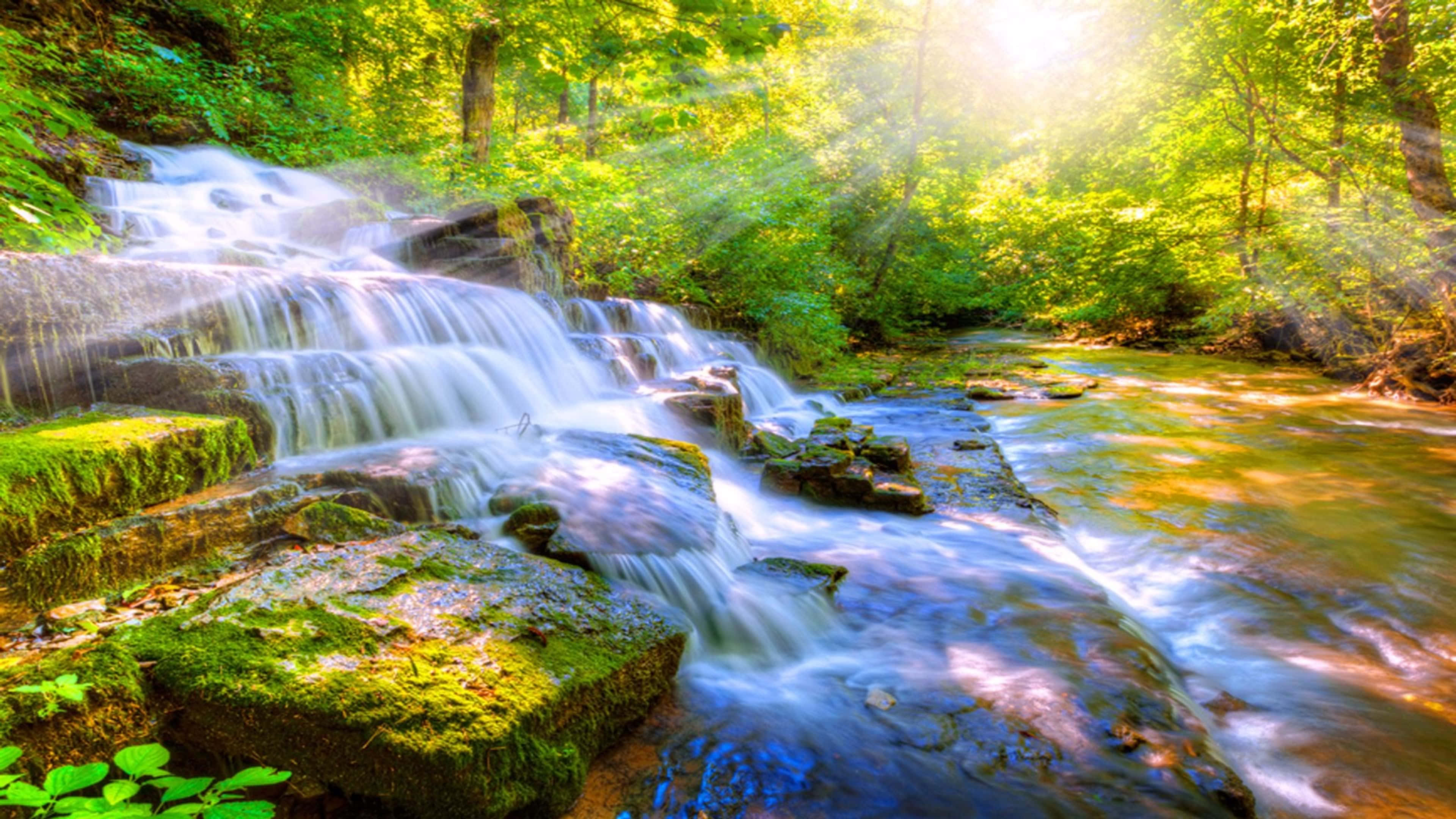 4K, waterfall, lush green forest, 4K Desktop Wallpaper