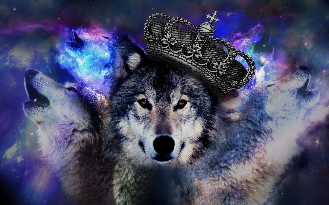 3D Wolf