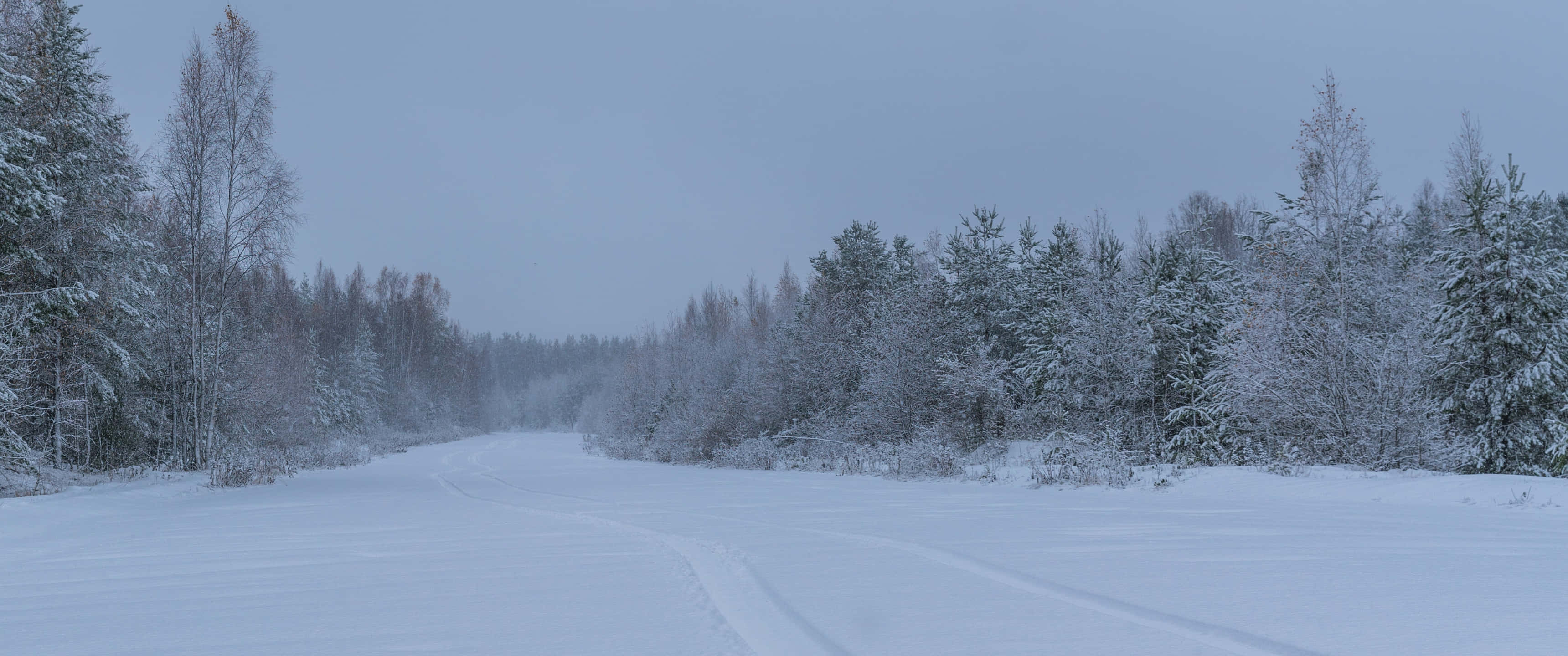3440x1440, winter forest, snow-covered road, 2K Desktop Wallpaper