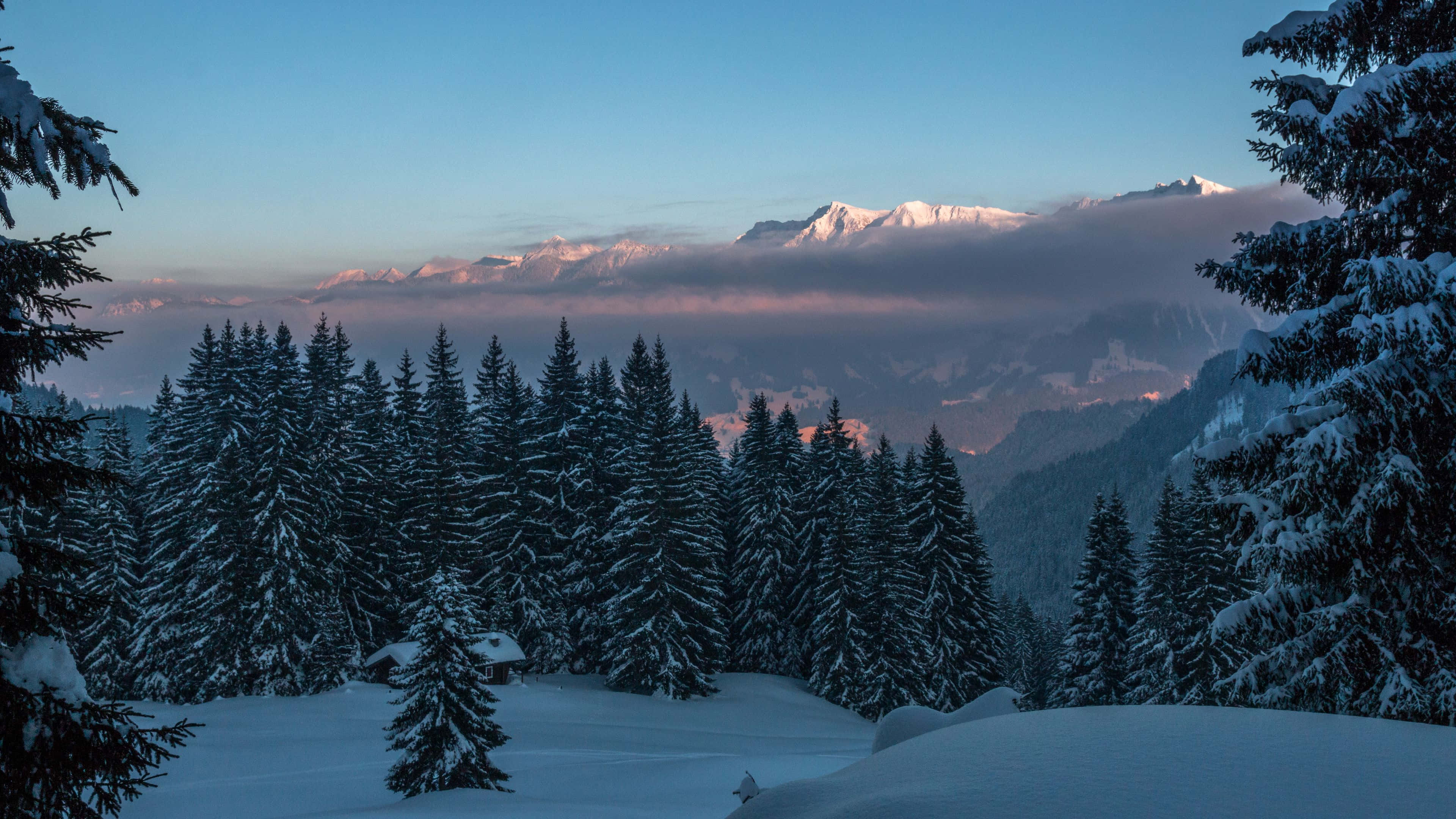 Winter, mountain sunrise, forest, 4K Desktop Wallpaper