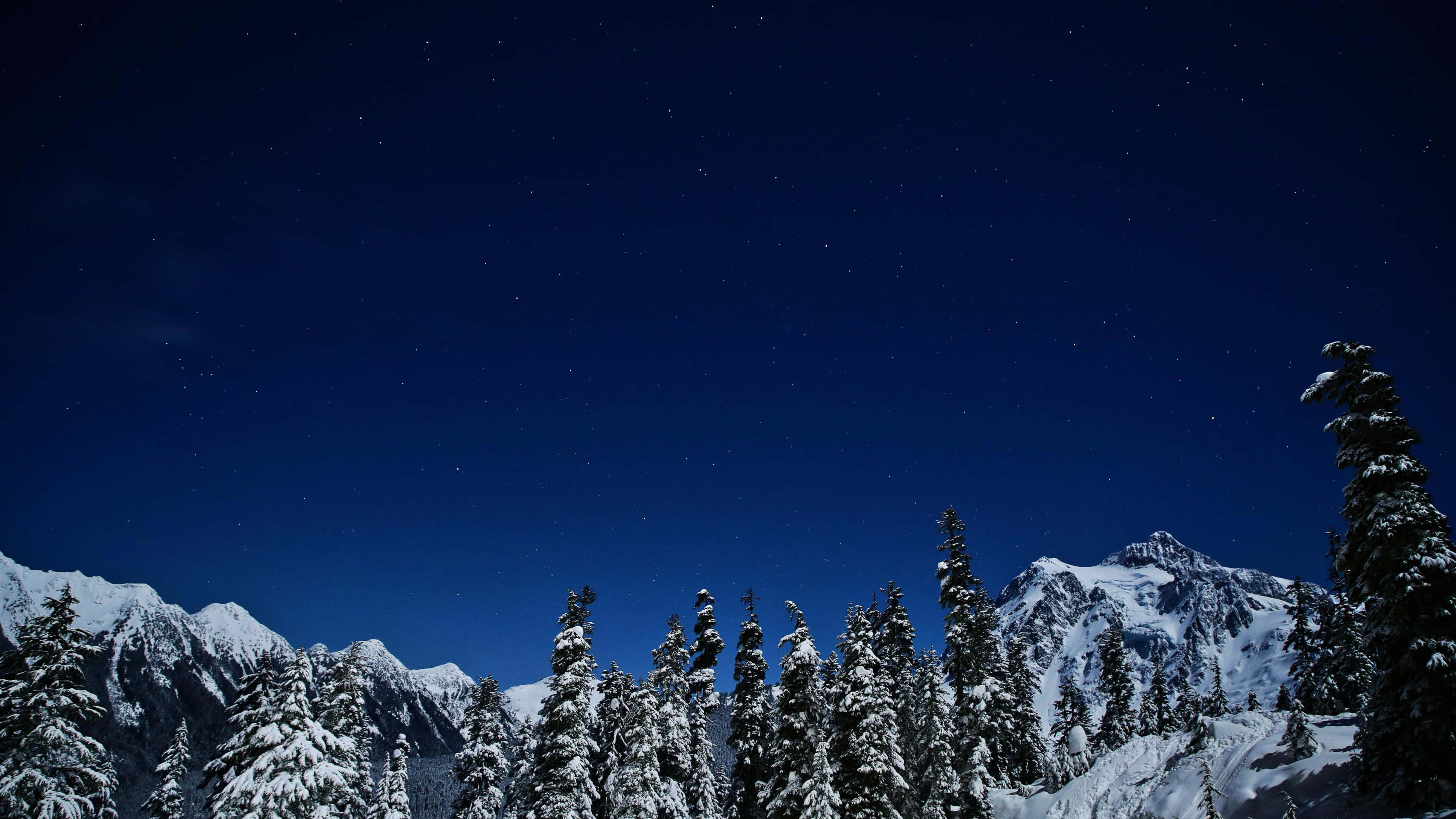 starry winter night, snowy pine trees, jagged mountain peaks, 4K Desktop Wallpaper