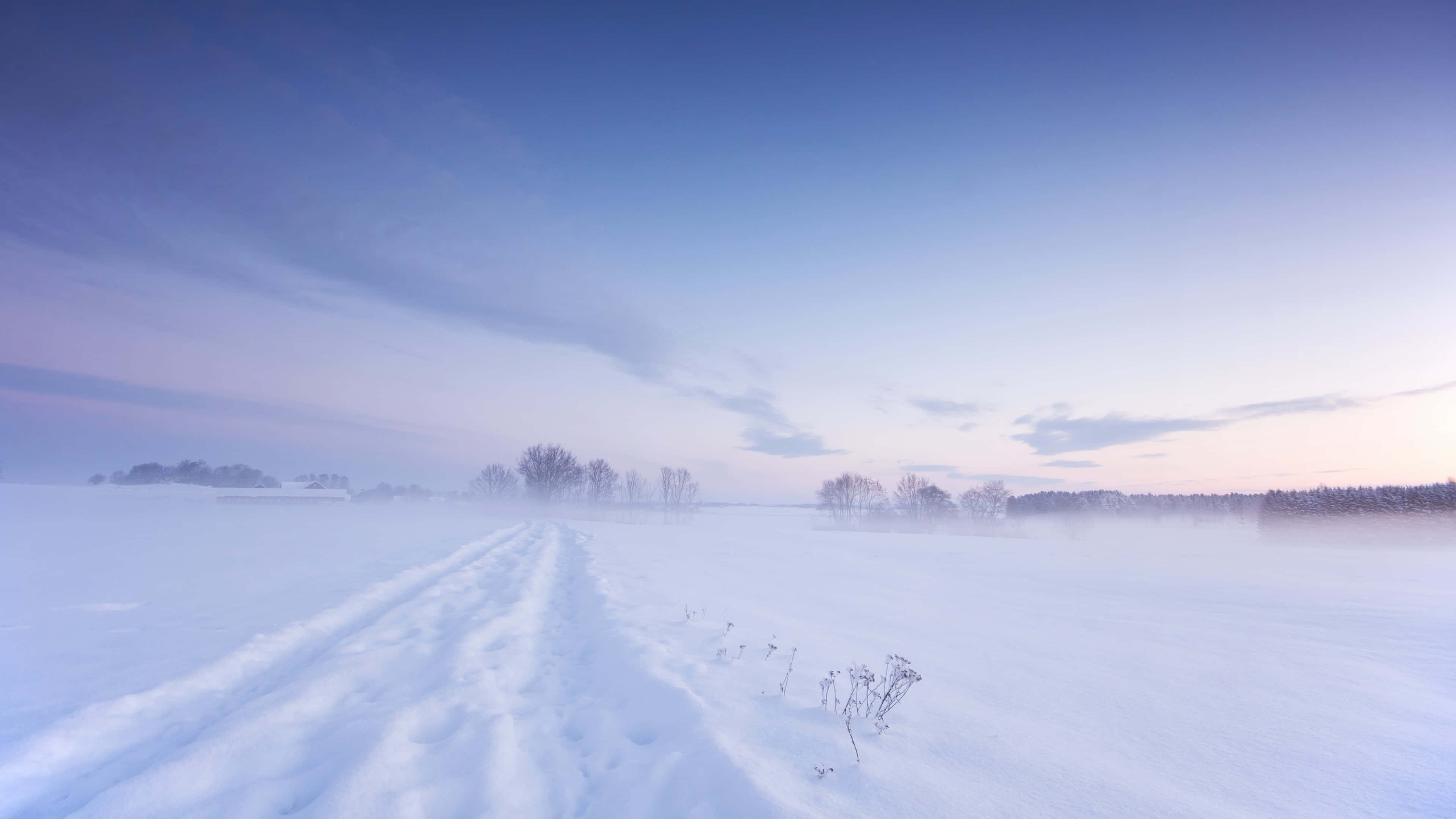 frozen field, dawn, tire tracks, 4K Desktop Wallpaper