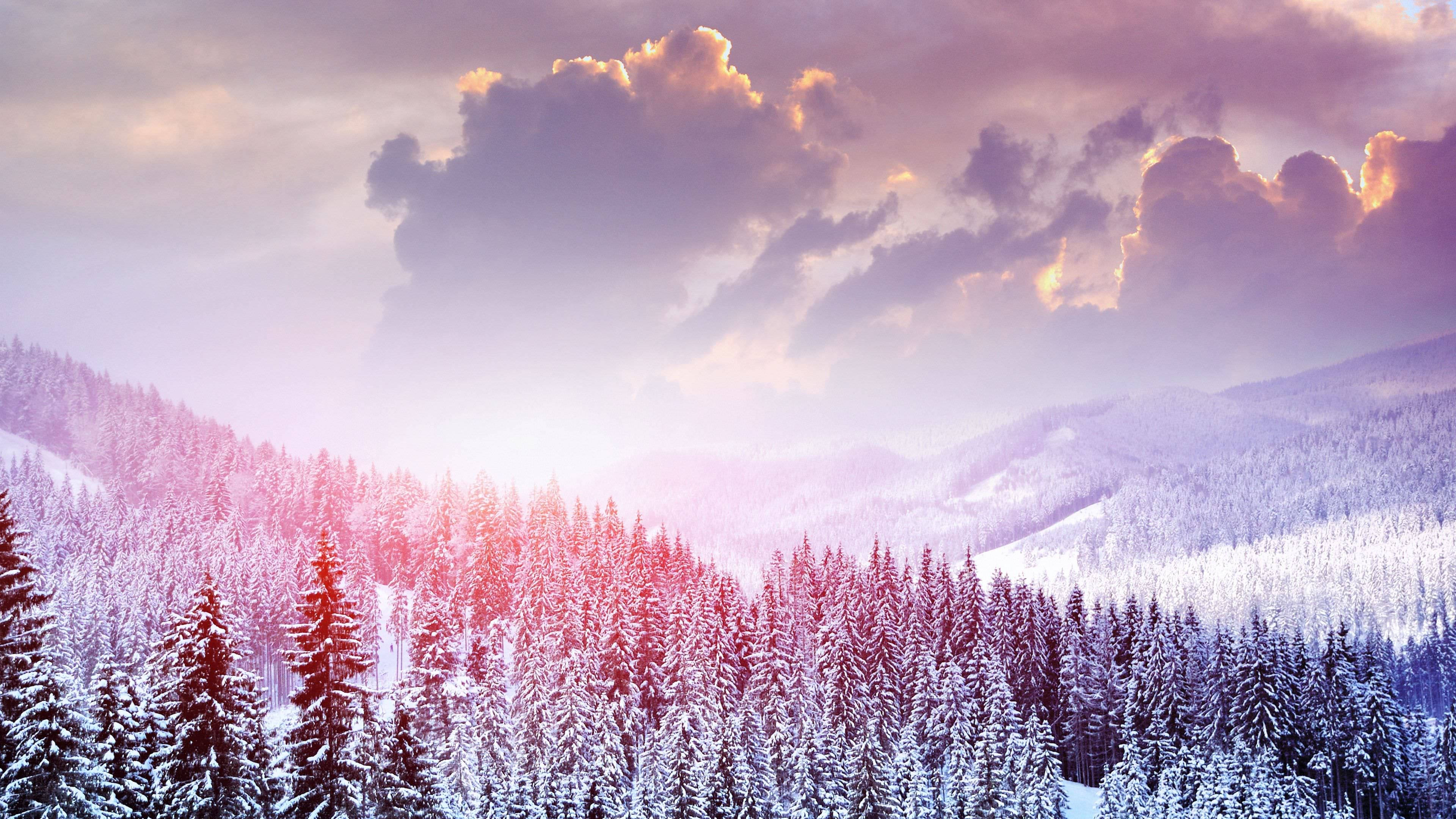 4K 16:9 Winter Forest, purple and gold sunset, snow, 4K Desktop Wallpaper
