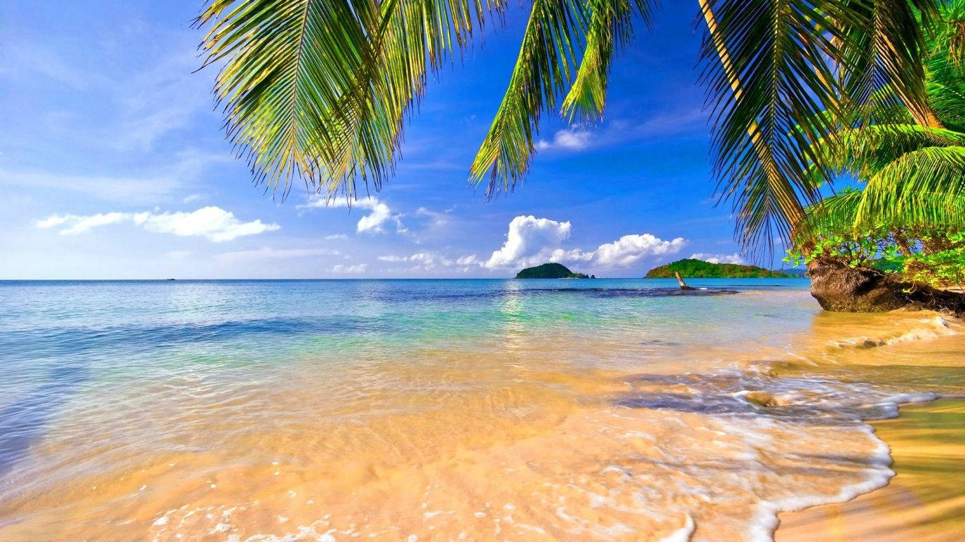 4K Beach Waves, tropical beach, turquoise waters, HD Desktop Wallpaper