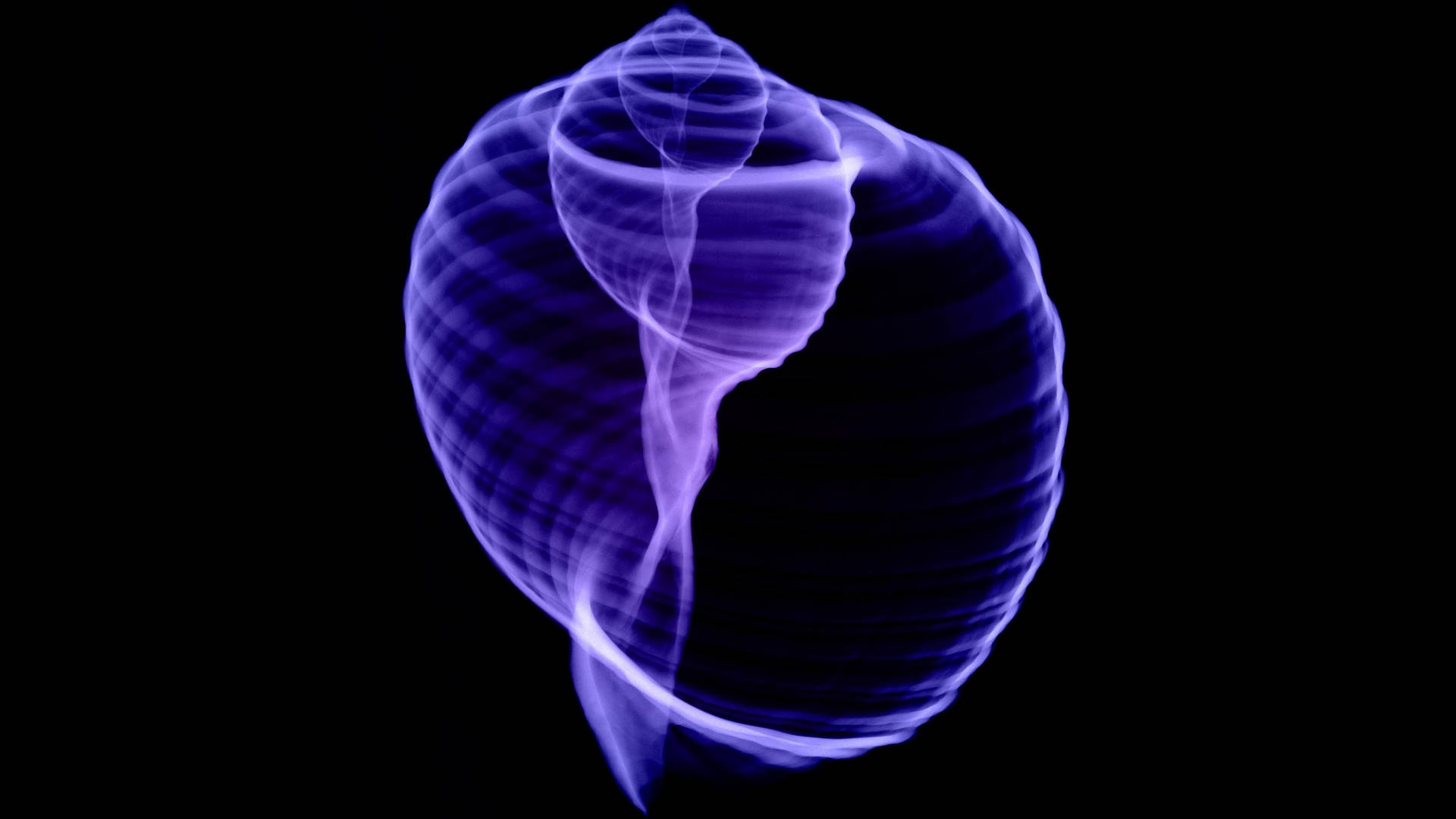 glowing purple spiral shell, black void, ethereal light trails, Full HD Desktop Wallpaper