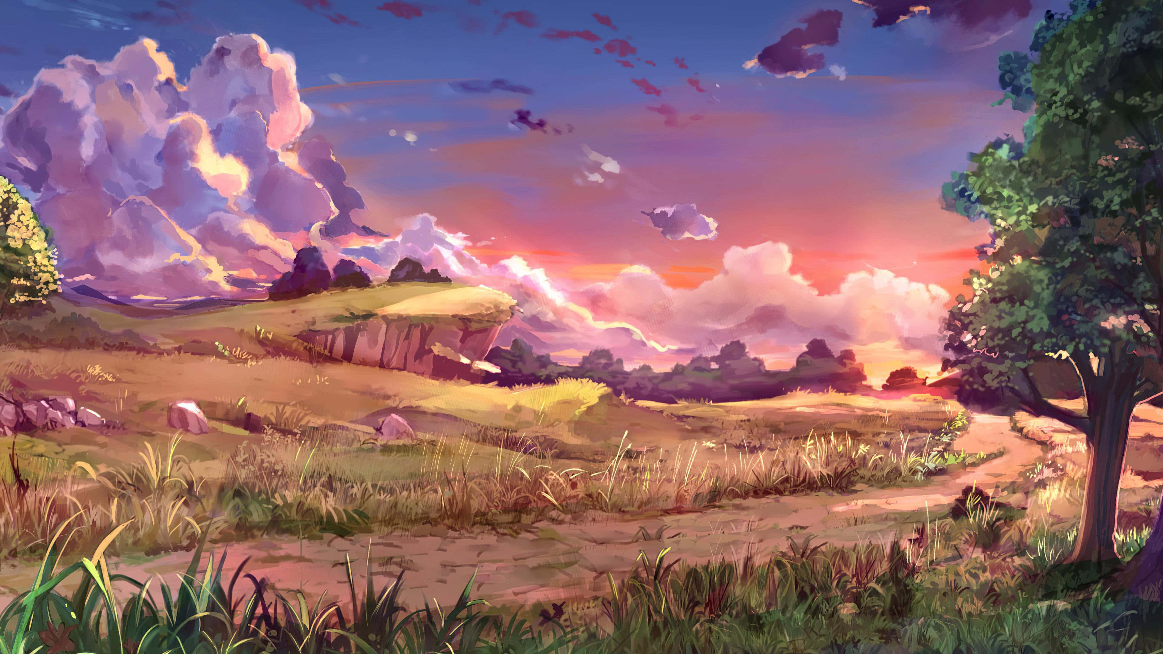 sunset, meadow, rolling hills, 4K Desktop Wallpaper