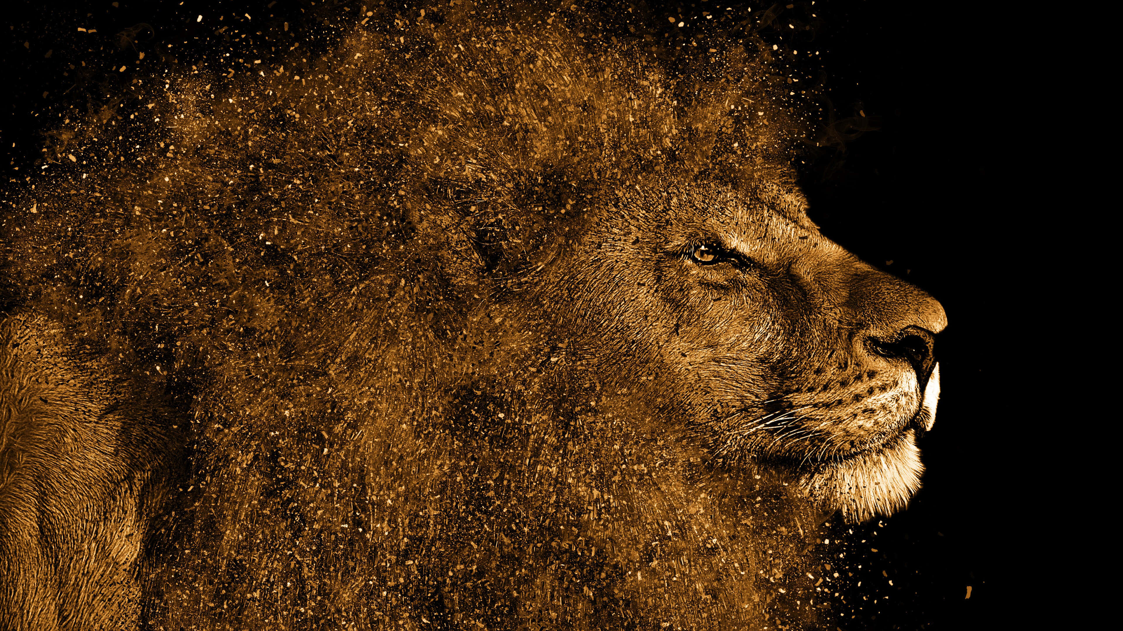 majestic lion, golden dust particles, mane, 4K Desktop Wallpaper