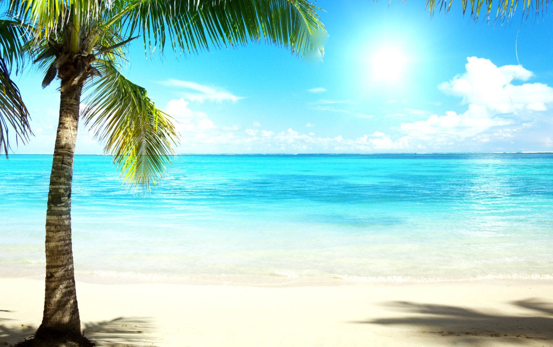 4K Beach, coconut tree, white sand beach, Full HD Desktop Wallpaper