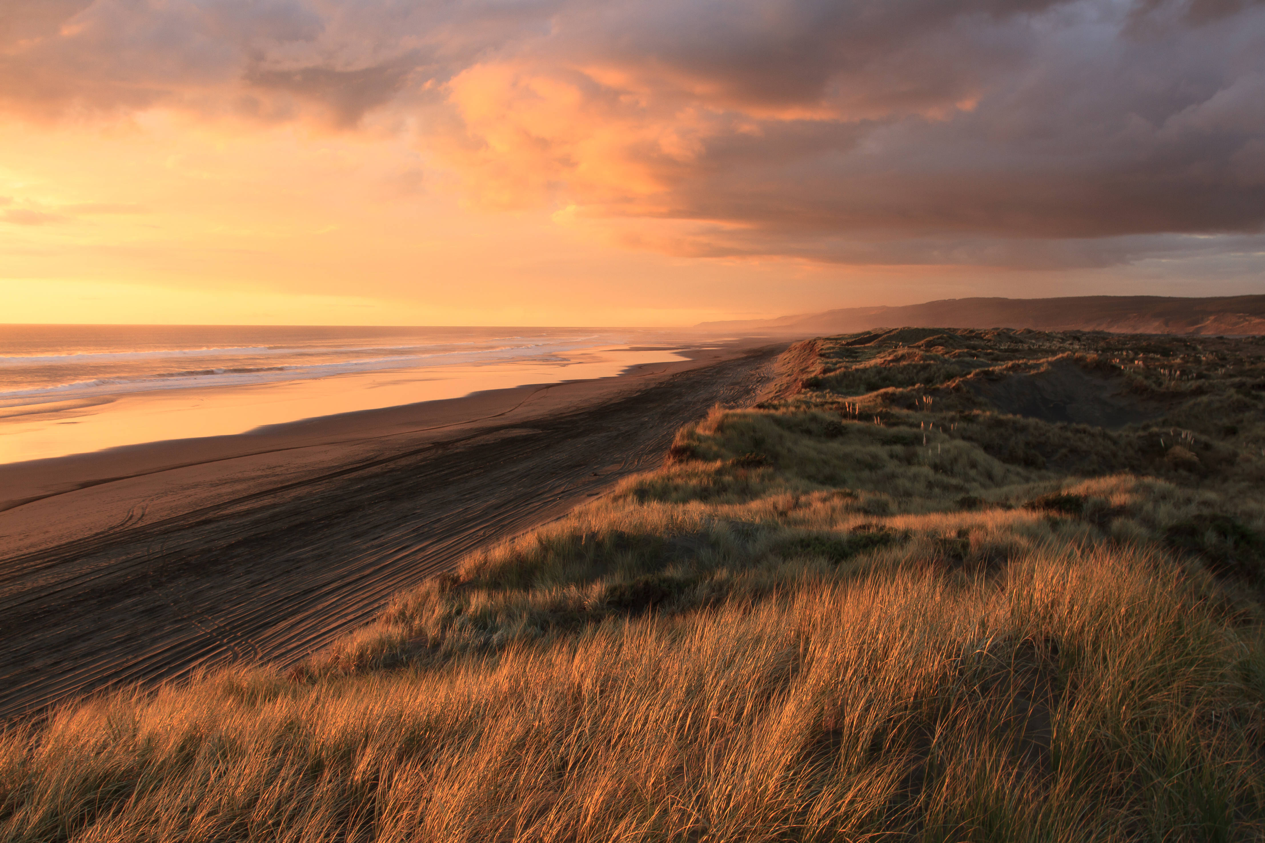 sunset beach, new zealand, golden sunset, 4K Desktop Wallpaper