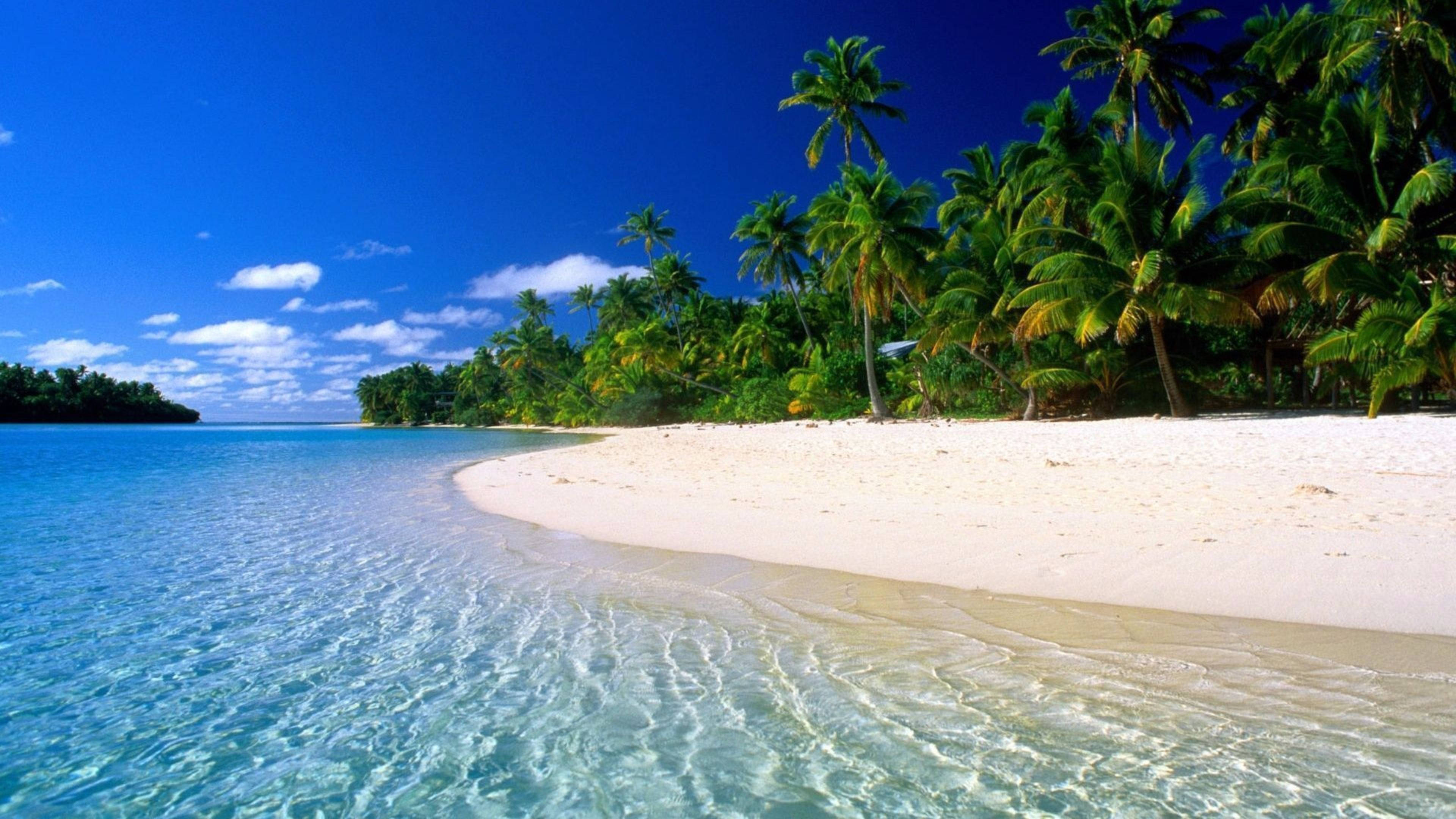 4K Beach Forest, turquoise waters, white sandy beach, 4K Desktop Wallpaper