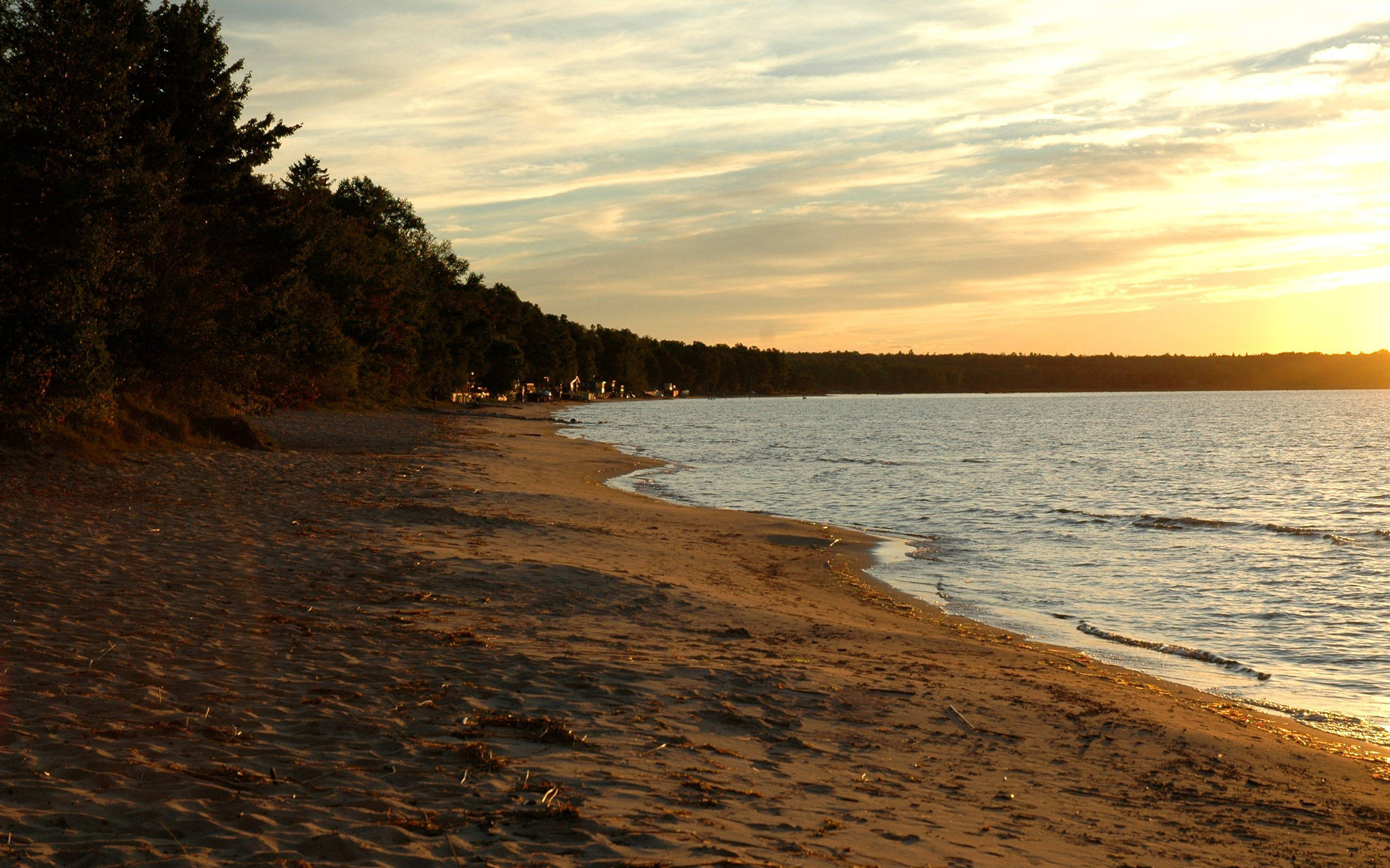 Golden sunset, tranquil sandy beach, dark trees, 2K Desktop Wallpaper