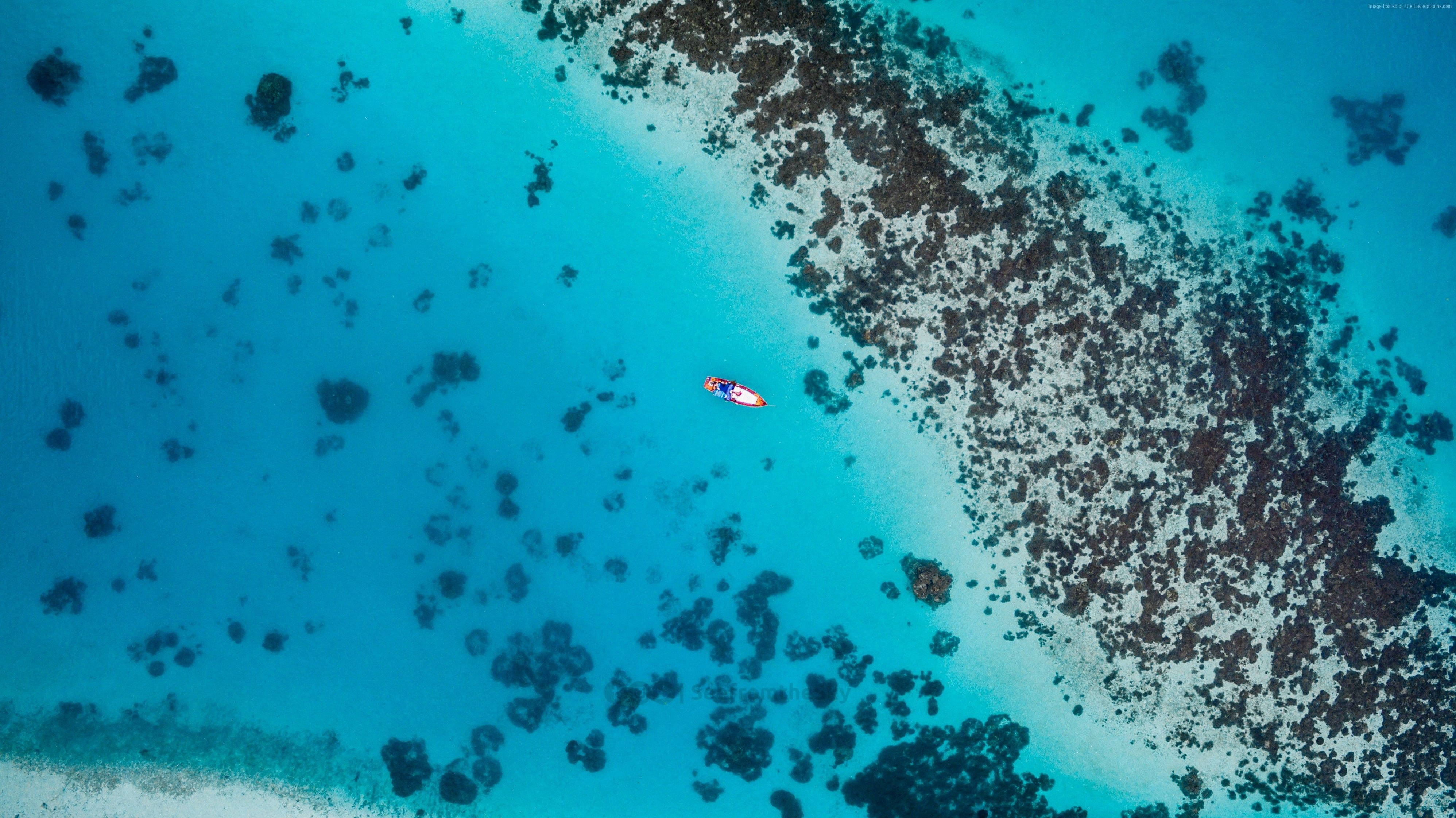 paddleboarder, vibrant turquoise waters, coral-studded shoreline, 4K Desktop Wallpaper