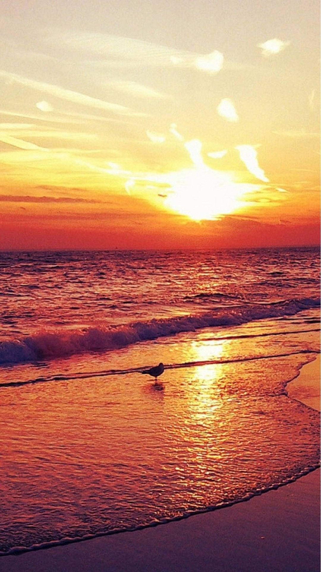 4K, iPhone, bird, Full HD Phone Wallpaper