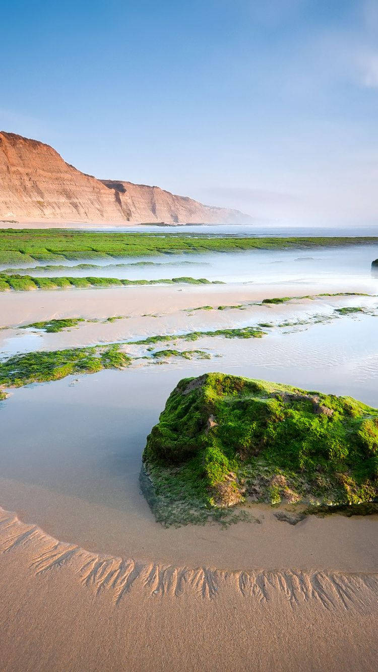 beach 4k iphone mossy rocks, vibrant green moss, rocks and sandbars, HD Phone Wallpaper