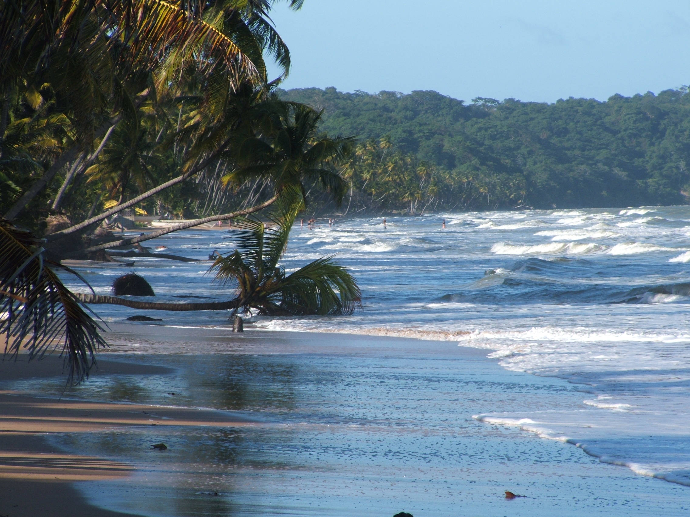 Tropical beach, palm trees, sandy shore, Full HD Desktop Wallpaper
