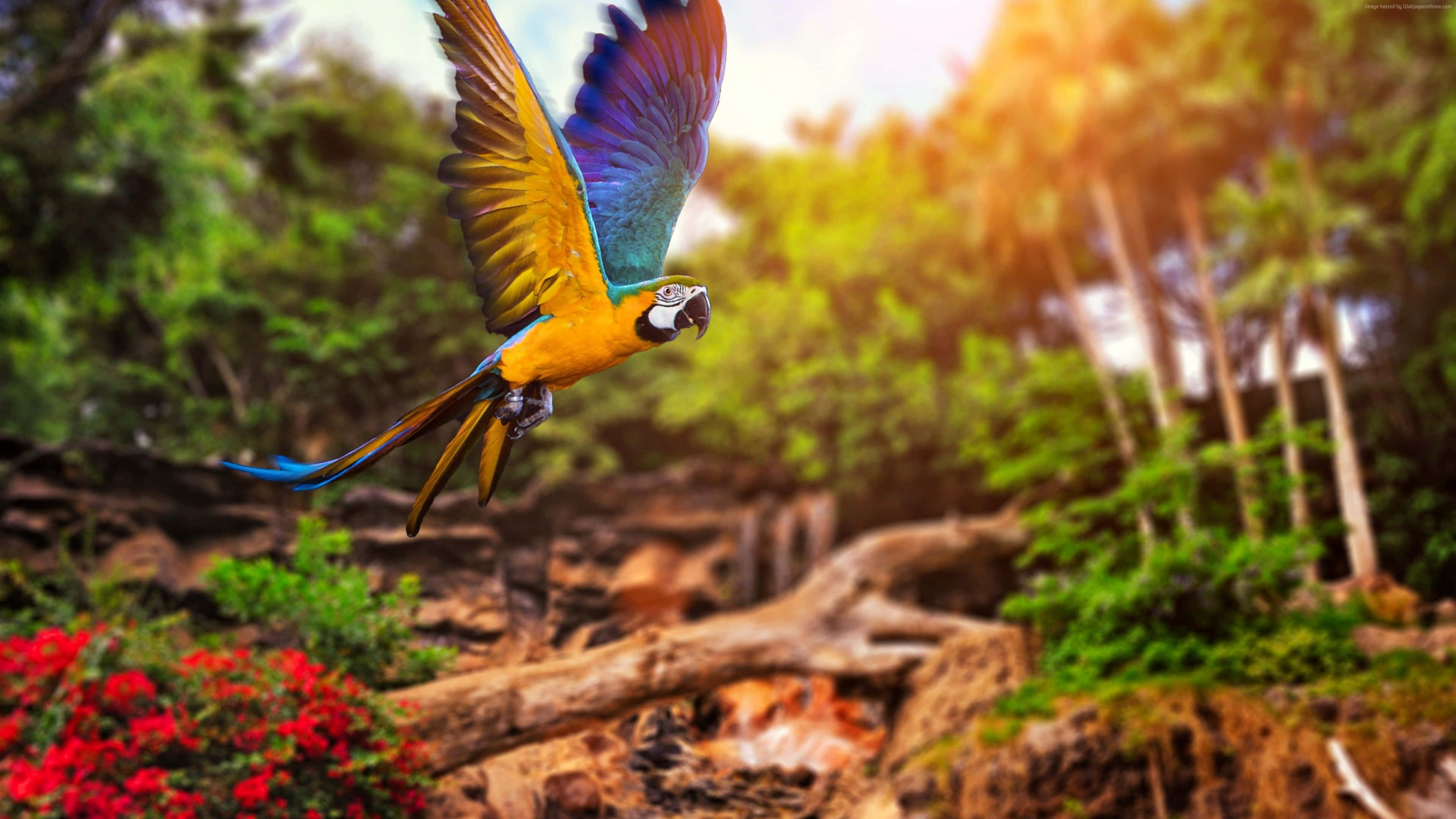 vibrant blue-and-yellow macaw, sun-dappled jungle, red flowers, 4K Desktop Wallpaper