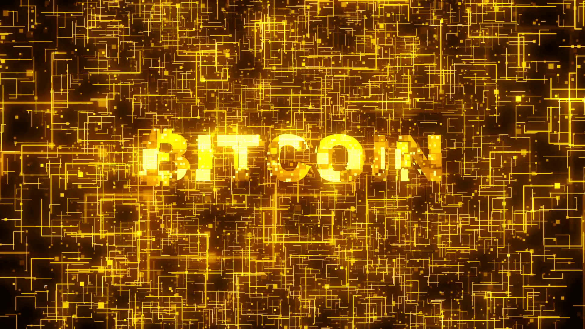 Bitcoin logo, golden bitcoin text, intricate circuitry lines, Full HD Desktop Wallpaper