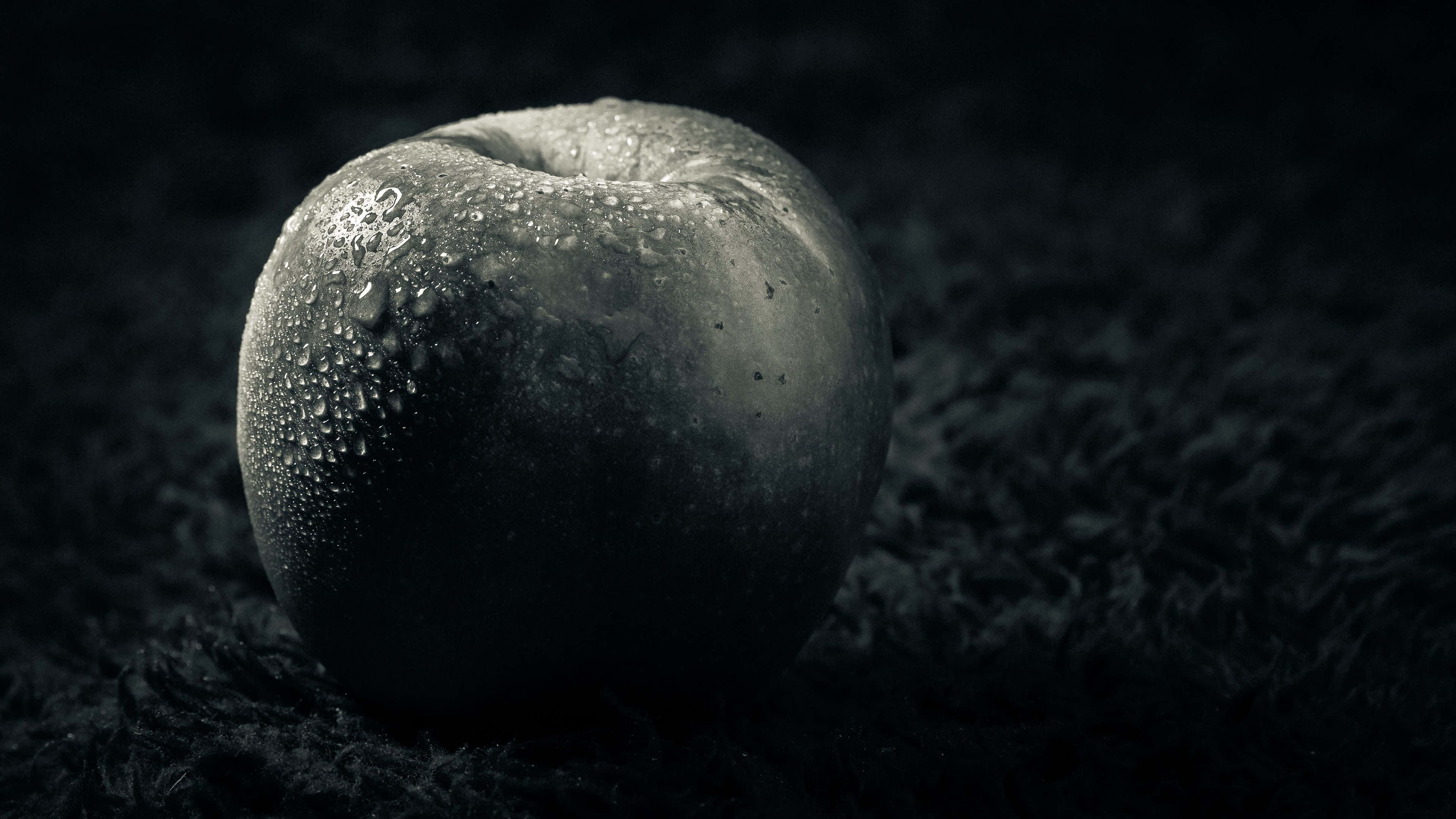 dew-covered apple, dark textured surface, dramatic low-key lighting, 4K Desktop Wallpaper