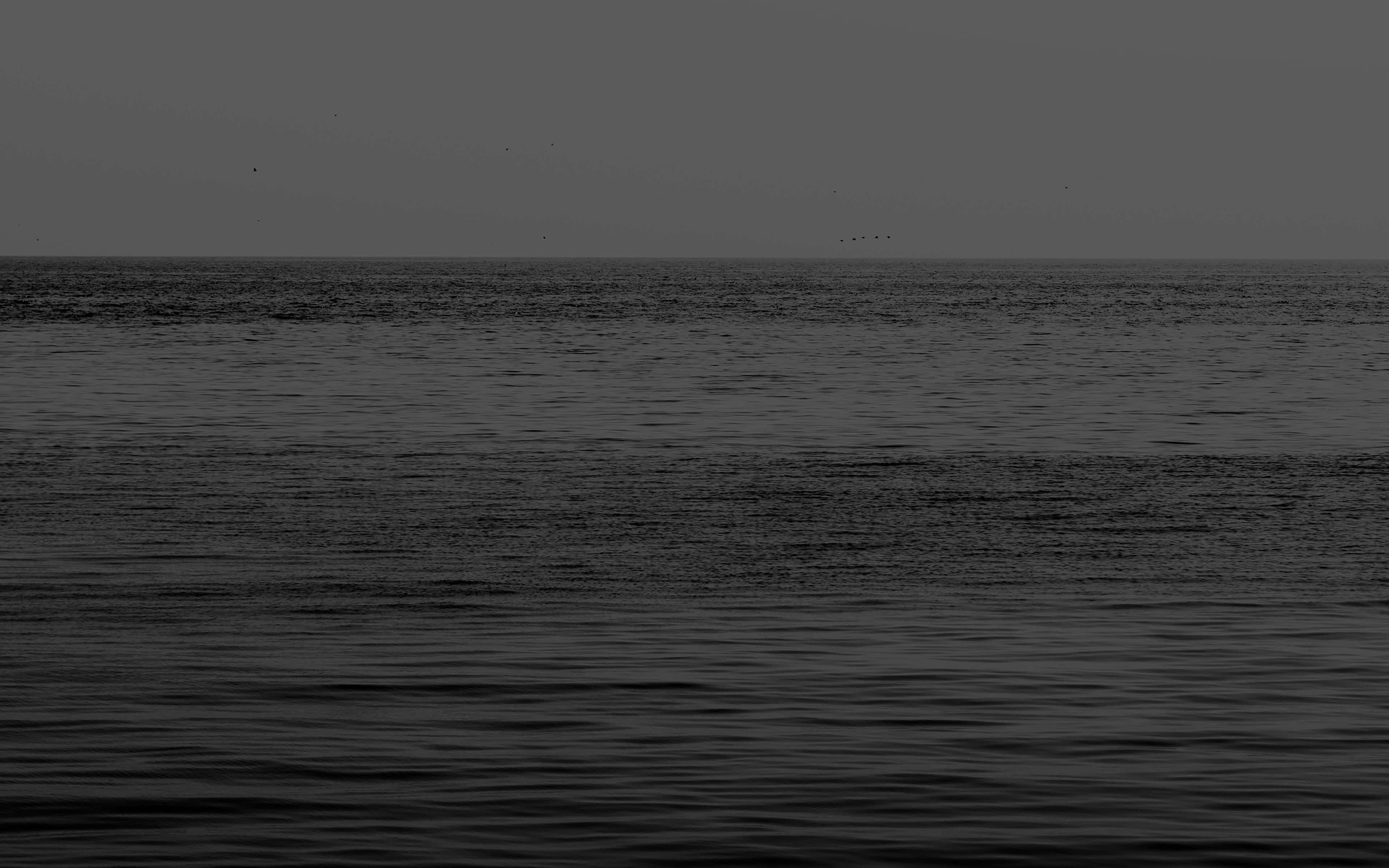 monochrome ocean, hazy horizon, subtle ripples, 4K Desktop Wallpaper