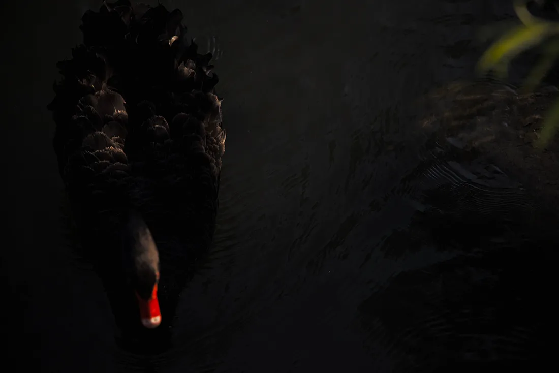4K Black