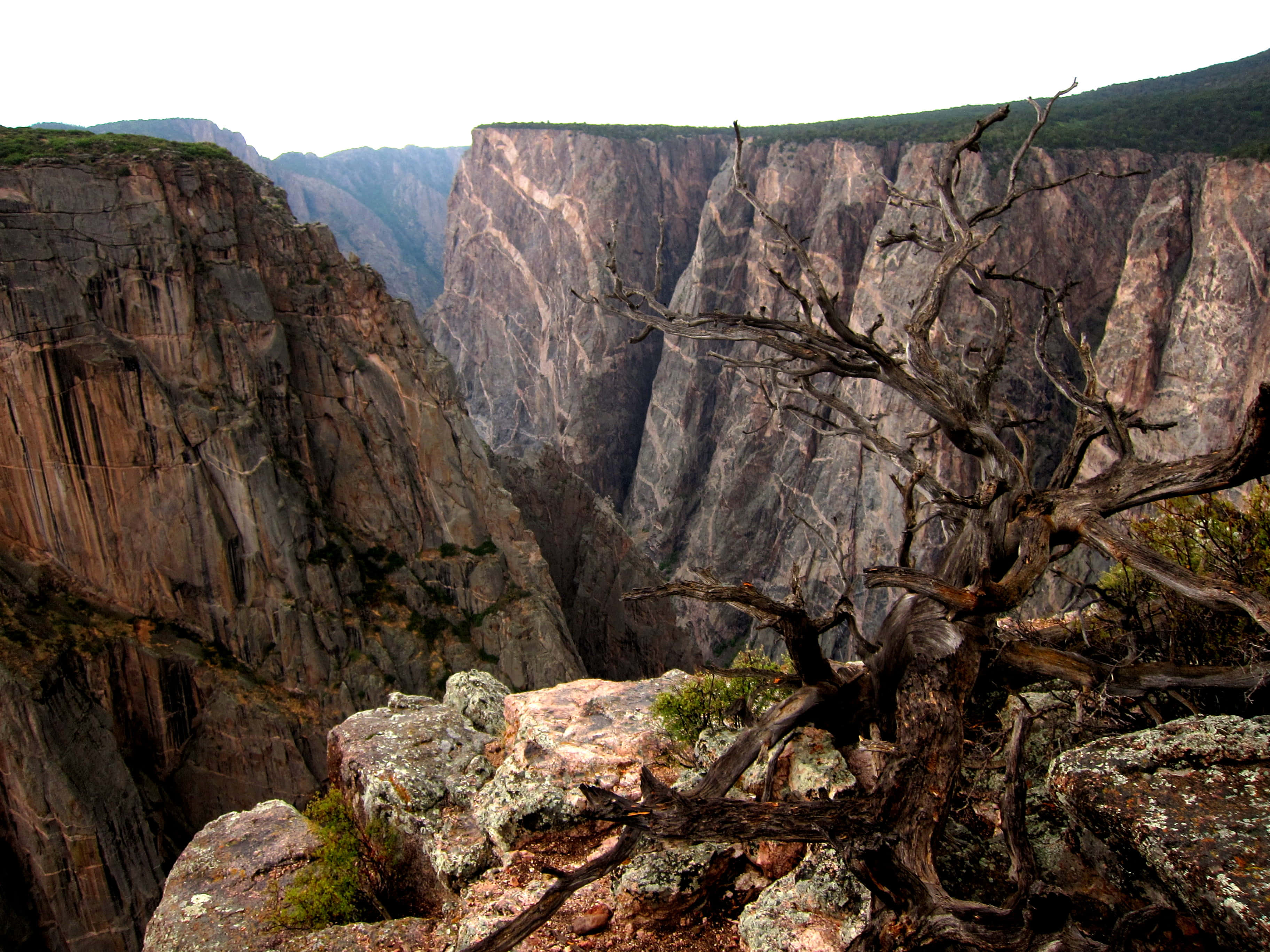 Black Canyon, vast rugged canyon, towering rock walls, 2K Desktop Wallpaper