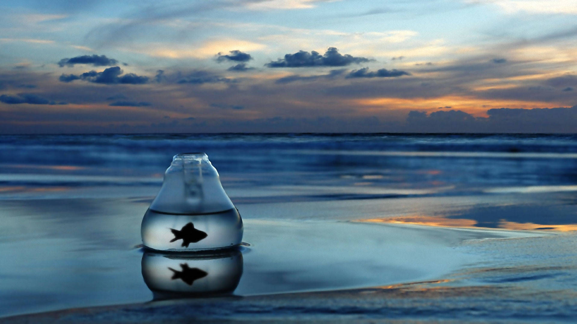 4K Computer, fish in a vase, glass bottle, Full HD Desktop Wallpaper