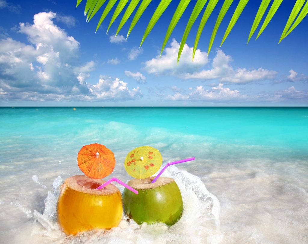 4K Computer, summer coconut drinks, tropical coconuts, SD Desktop Wallpaper